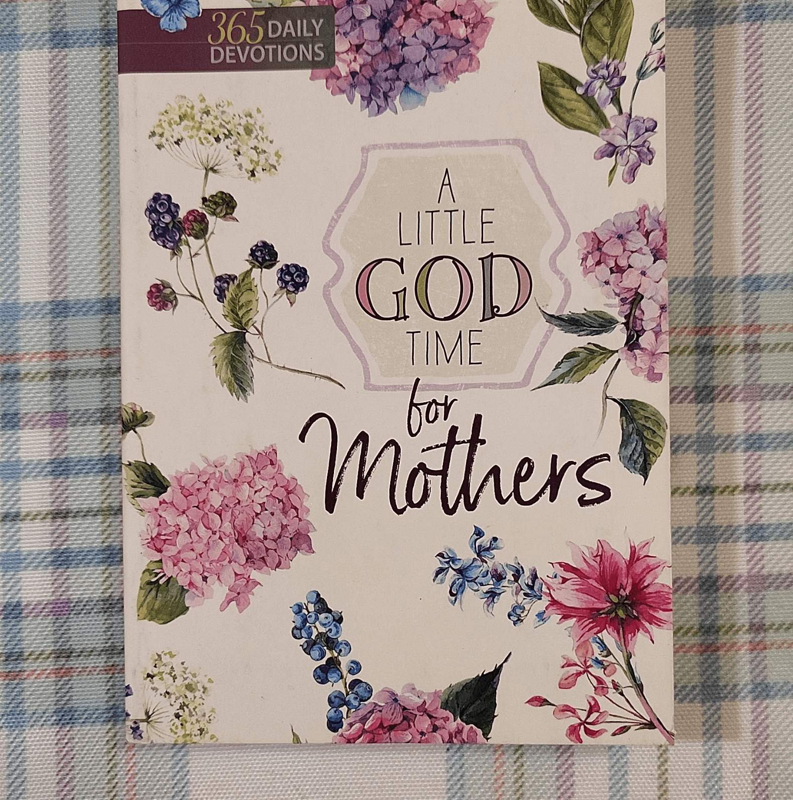 BroadStreet Publishing A Little God Time for Mothers, 365 Devotions, Paperback …