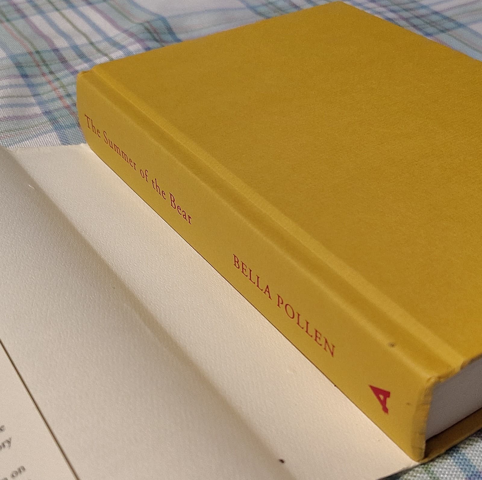 Summer of the Bear by Bella Pollen (2011, Hardcover), 1st Am Ed - Thumbnail 7