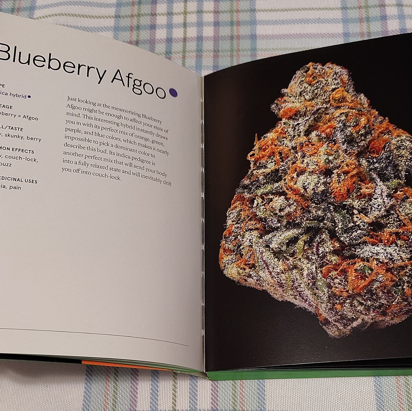 Green: A Pocket Guide to Pot by Dan Michaels, Chronicle Books, Marijuana Strains - Thumbnail 9