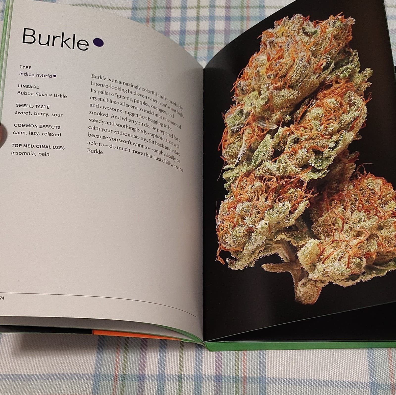 Green: A Pocket Guide to Pot by Dan Michaels, Chronicle Books, Marijuana Strains - Thumbnail 8
