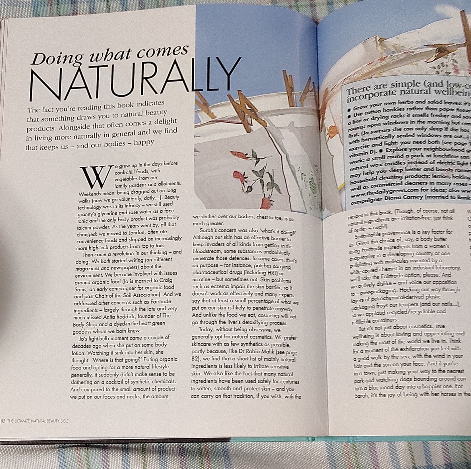 The Ultimate Natural Beauty Bible by Stacey & Fairley, Hardcover, Kyle Books, 2… - Thumbnail 10