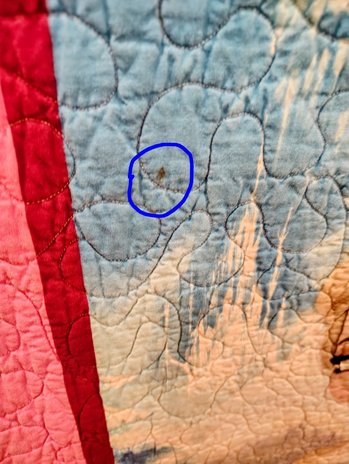 Handmade Disney Frozen quilt, Anna Elsa, 60 x 70 inches , EUC, 2014 - Thumbnail 6
