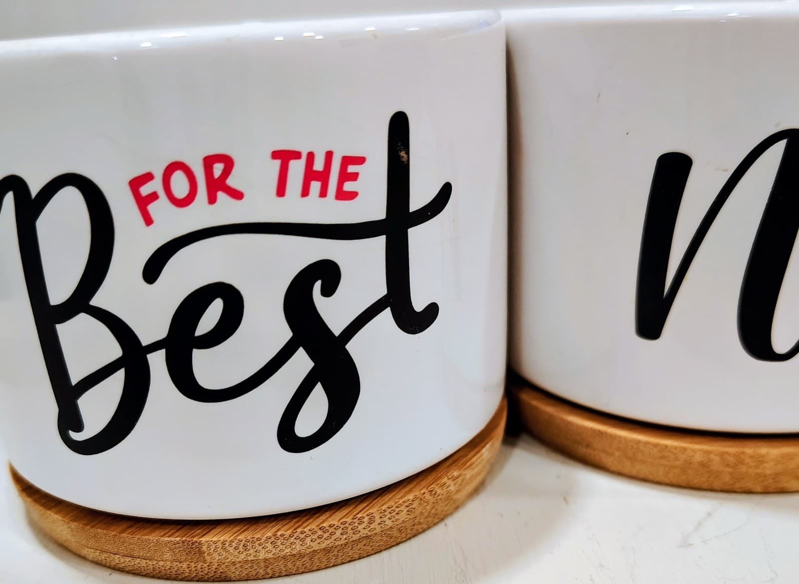 Set of 4 "For the Best Nurse Ever" Succulent Pots, wooden trays, NWOT
