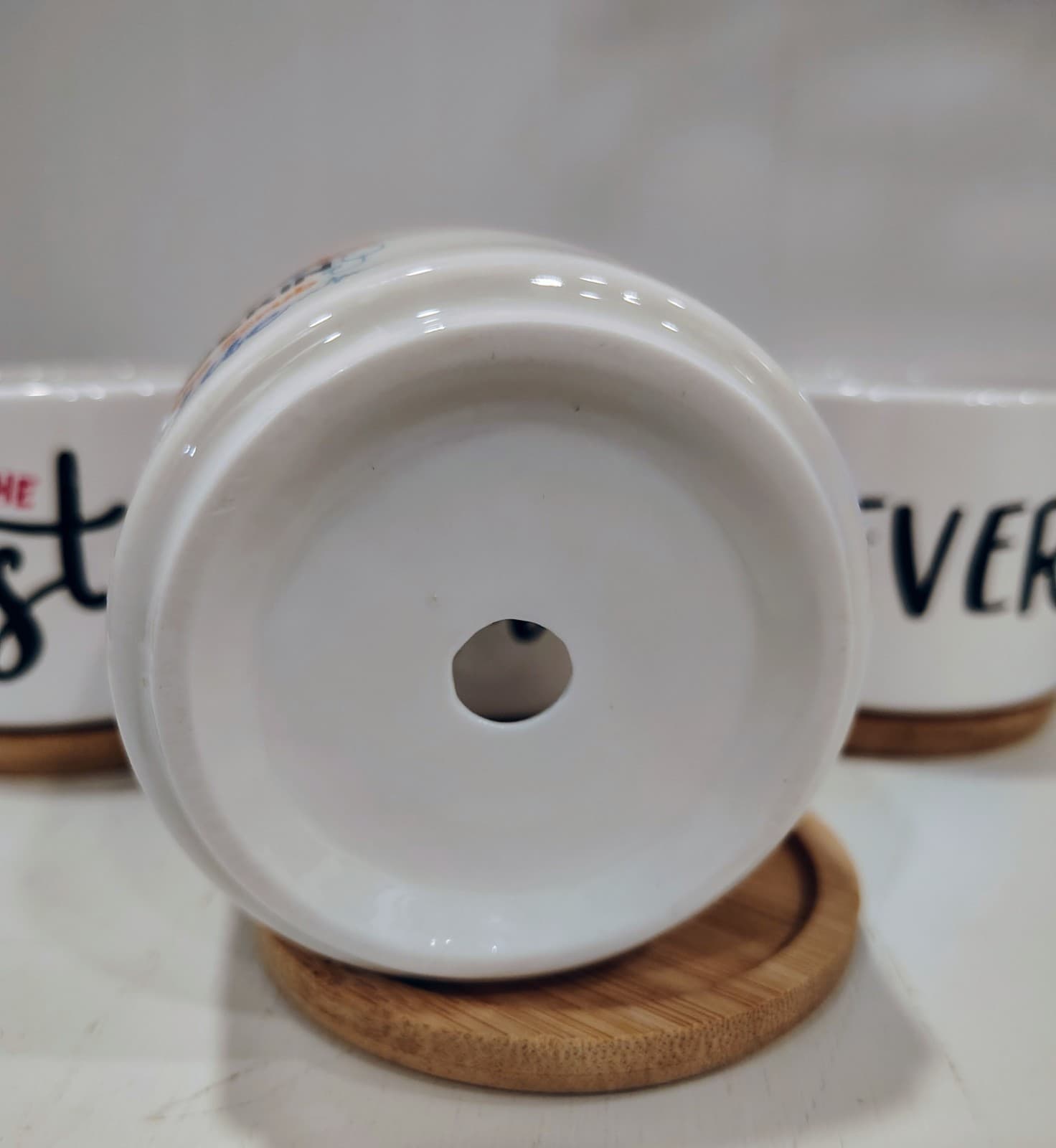 Set of 4 "For the Best Nurse Ever" Succulent Pots, wooden trays, NWOT - Thumbnail 3