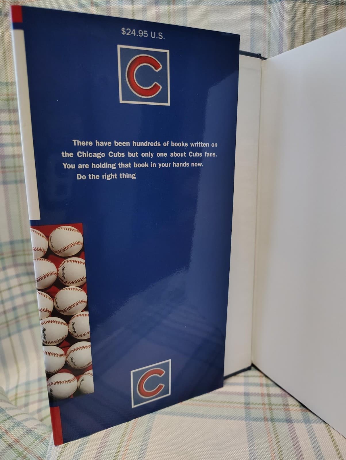 For Cubs Fans Only! by Rich Wolfe (2003, Hardcover) - Thumbnail 4