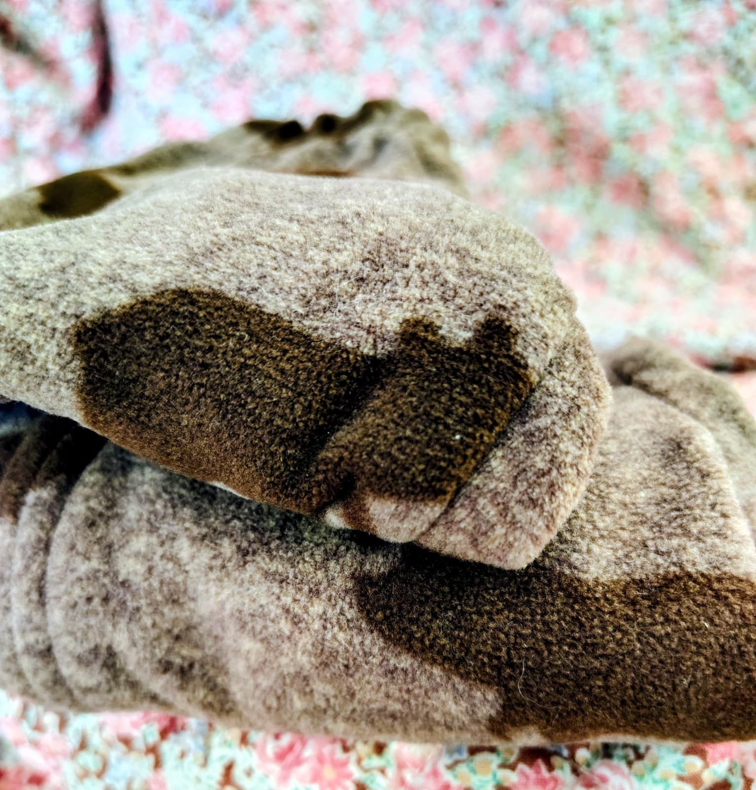 Child Of Mine, Fleece Bear Matching Jacket And Pants, 3-6 Months - Thumbnail 4