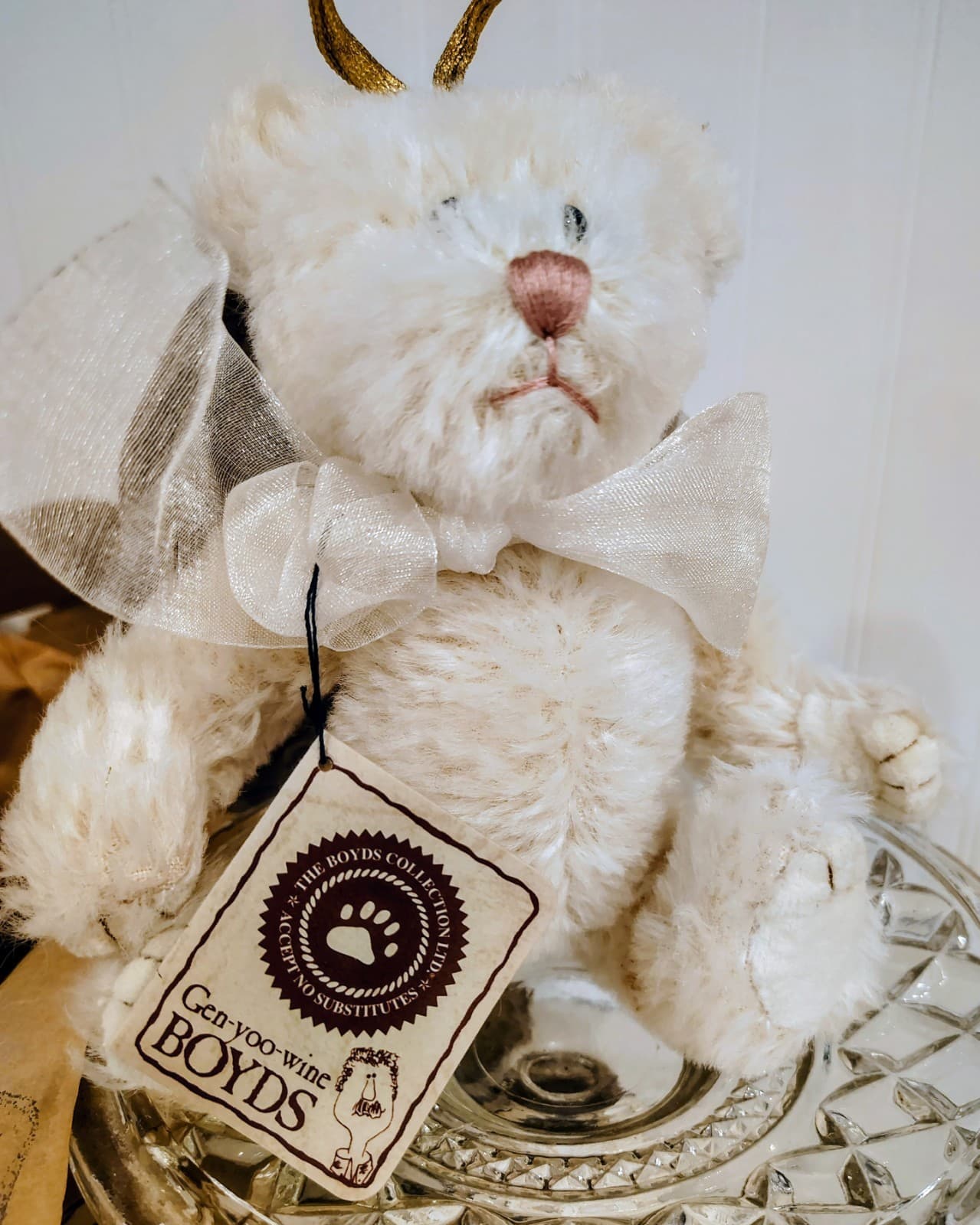 Boyds Bears Vanessa R. Angel, Gold Star Bow White Teddy Bear, Tag, Box, Retired - Thumbnail 2