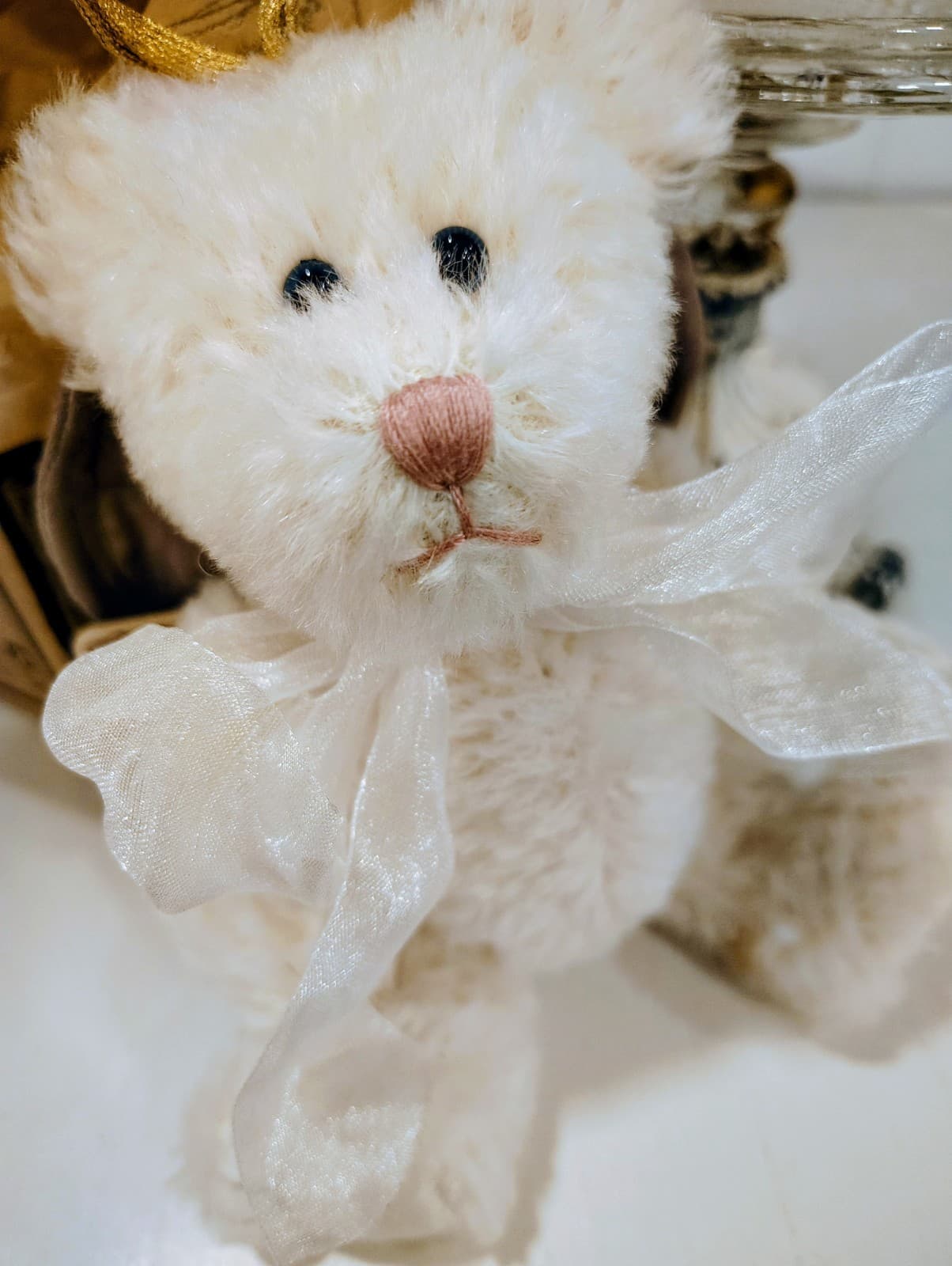Boyds Bears Vanessa R. Angel, Gold Star Bow White Teddy Bear, Tag, Box, Retired - Thumbnail 8