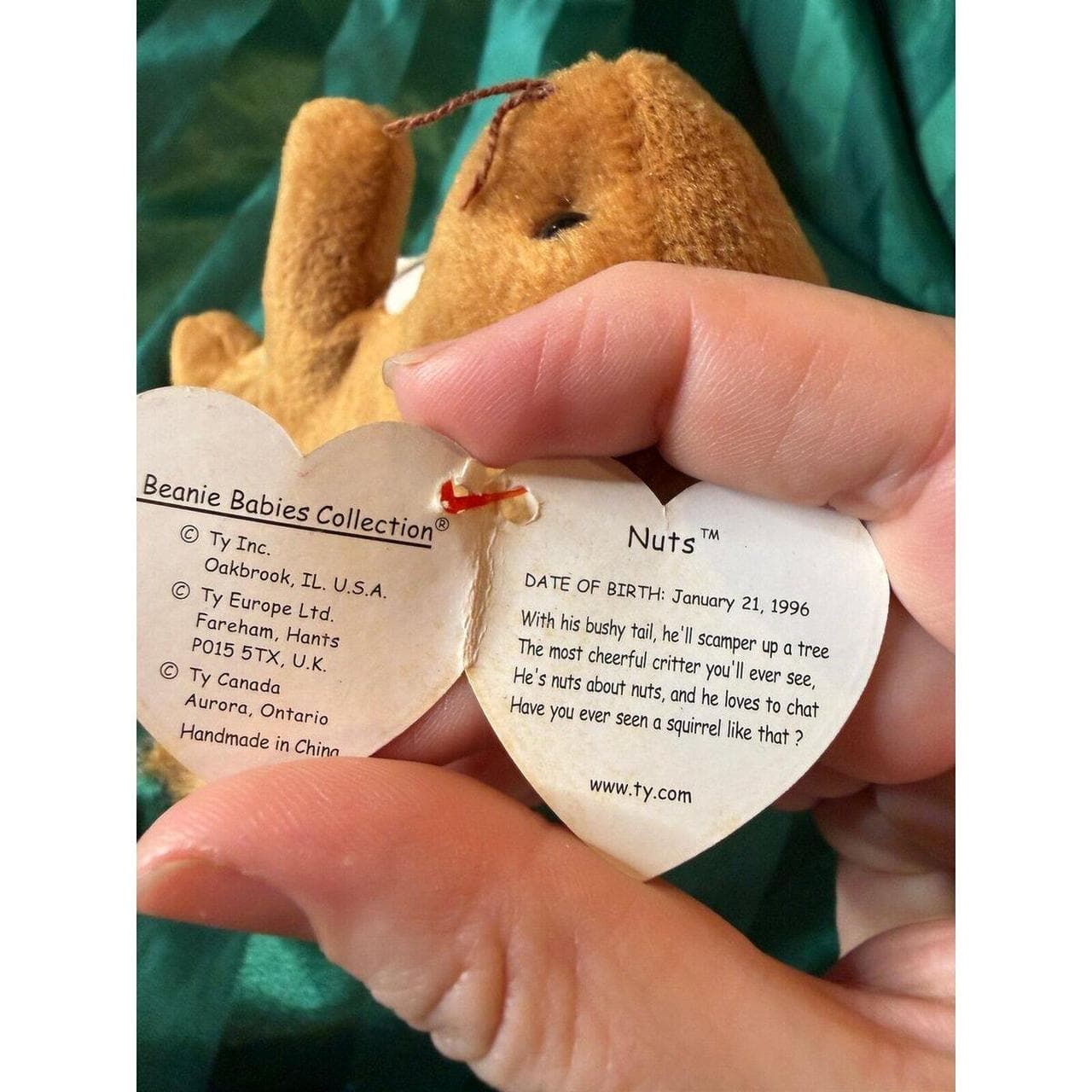 Ty Beanie Babies Nuts the Squirrel Plush 1996 - Bundle Discounts! - Thumbnail 2