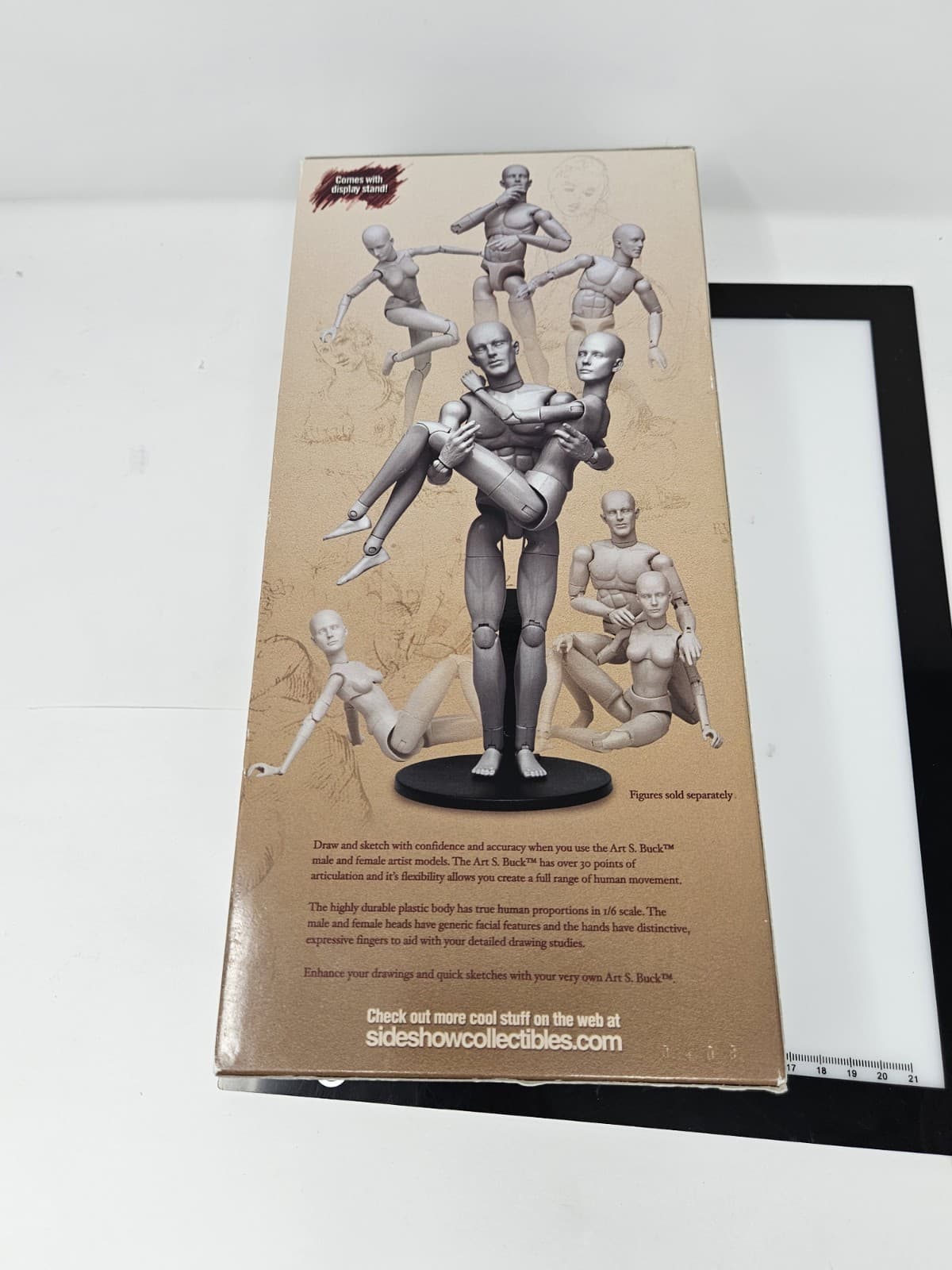 Art S. Buck Artist's Model Grey Female (Sideshow Collectibles, NIB) - Thumbnail 2