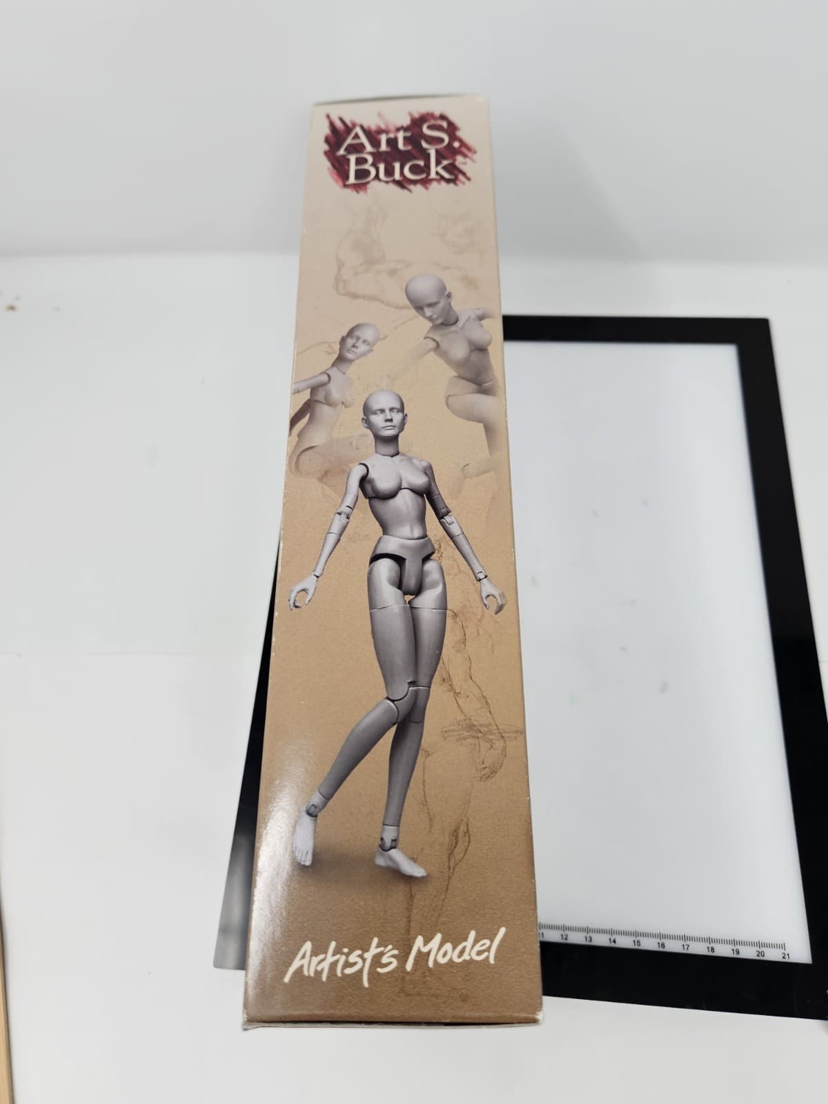 Art S. Buck Artist's Model Grey Female (Sideshow Collectibles, NIB) - Thumbnail 3