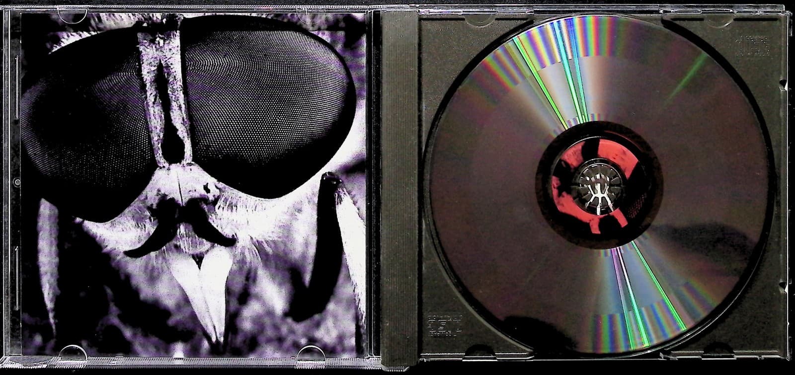 Vintage 1998 Snuff CD Tweet Tweet My Lovely Album Punk Rock Fat Wreck Chords - Thumbnail 2