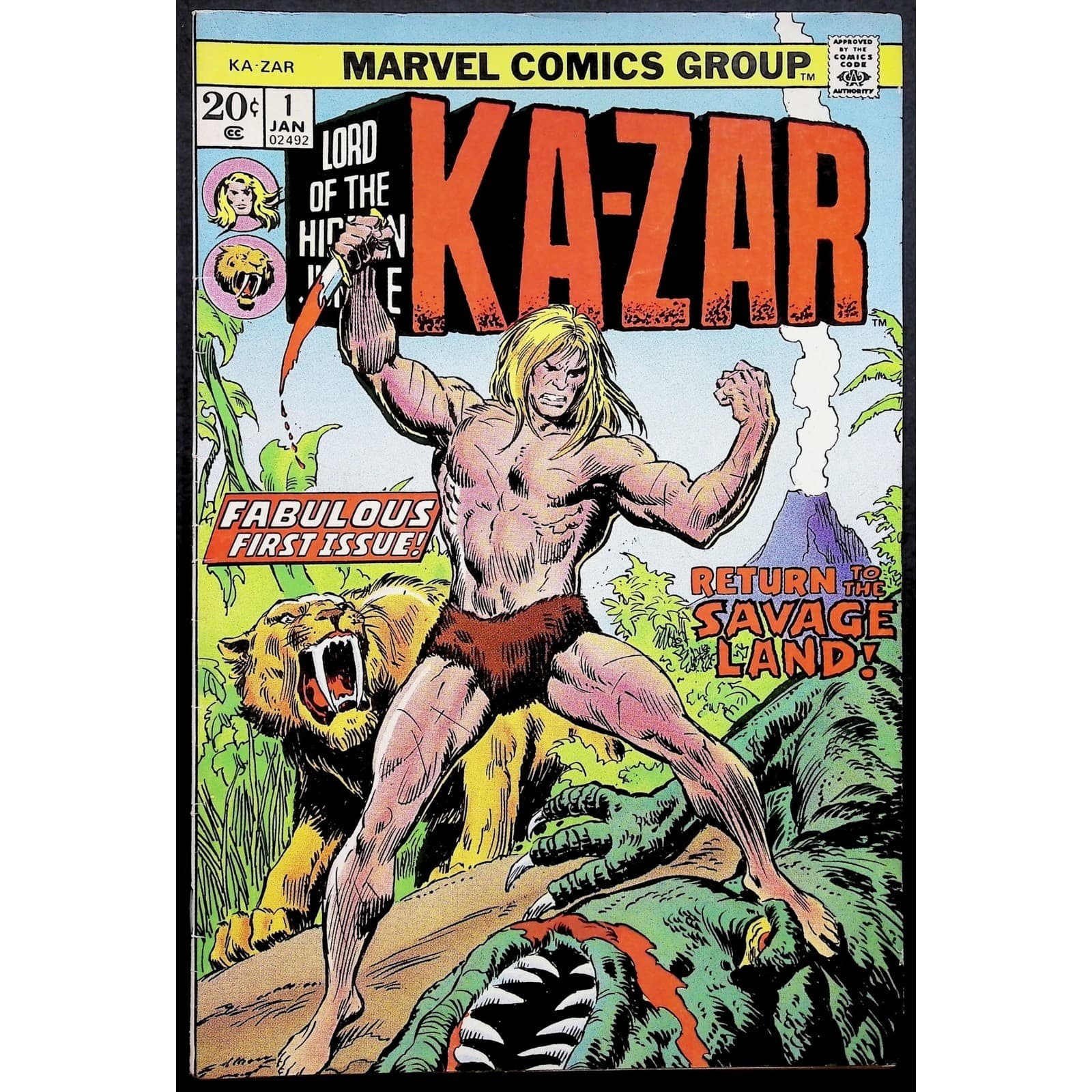 Tarzan #207 & Ka-Zar #1 Lot 1st DC Issue Stan Lee Kubert Kane Bronze Age F - Thumbnail 5