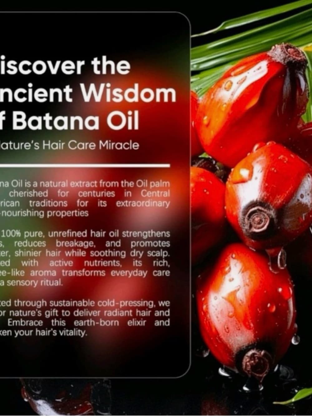 Zentrixa Batana Oil Hair Moisturizer - Brown - Thumbnail 4