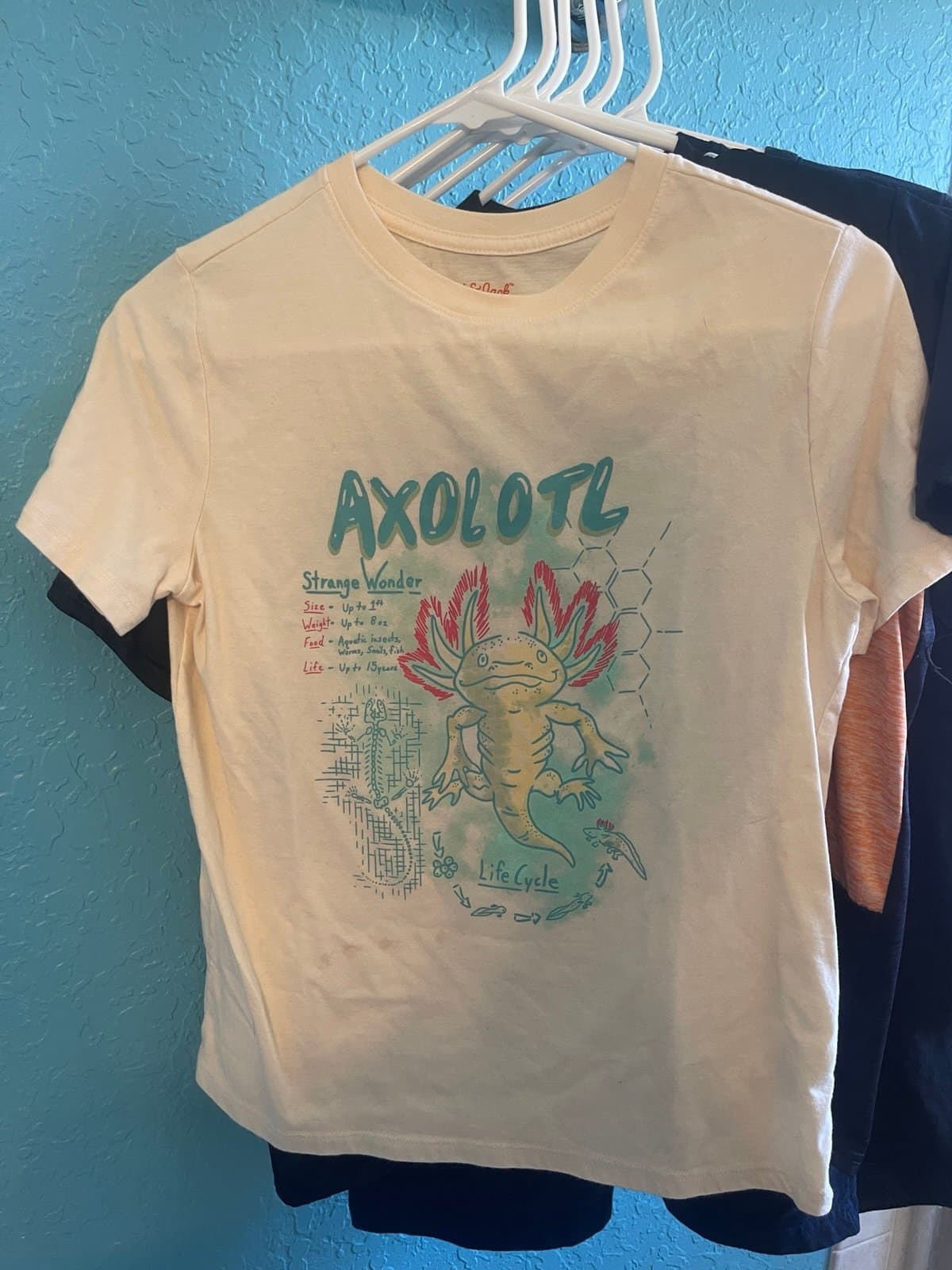 Shirt - Thumbnail 7