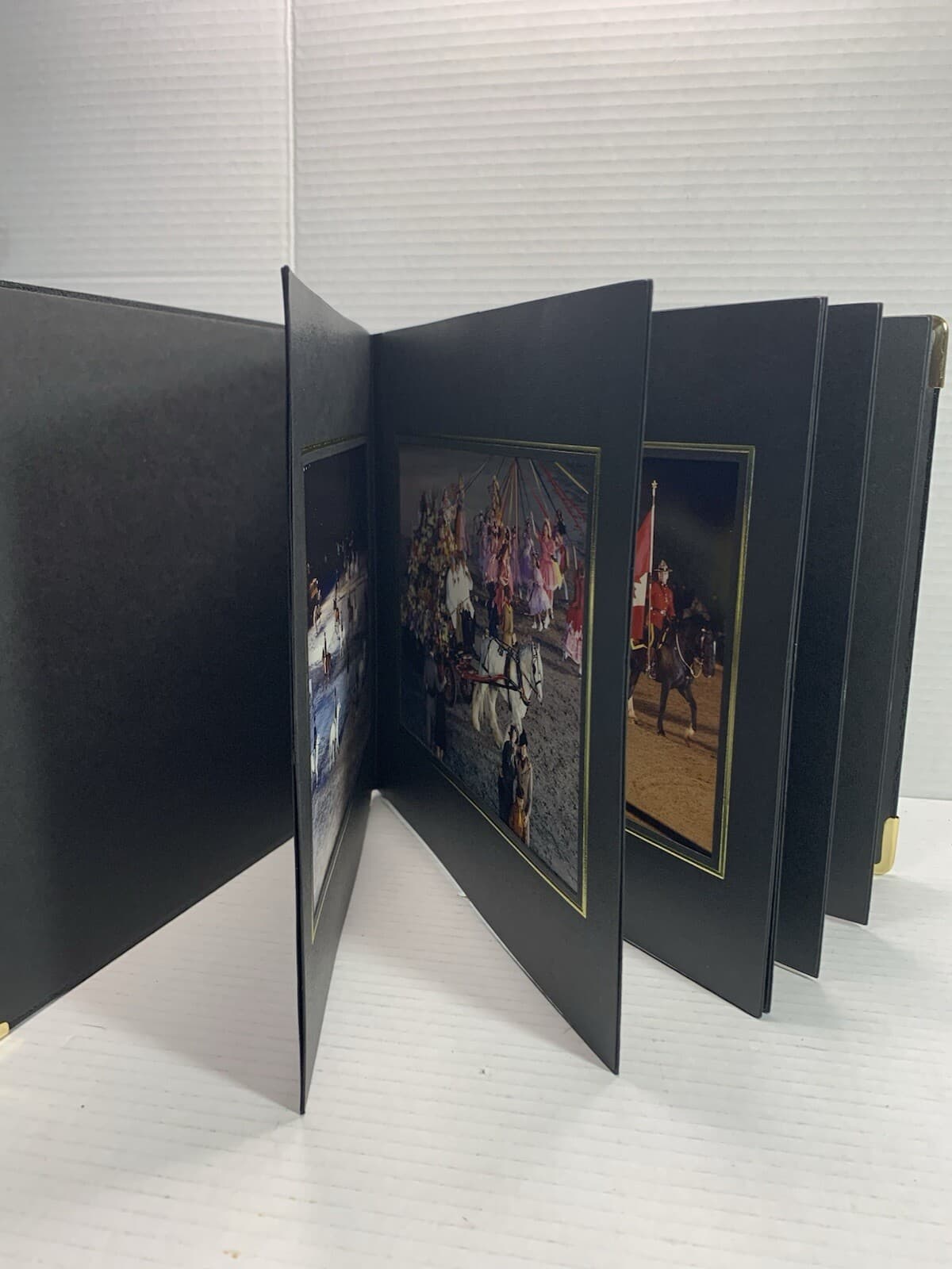 All the Queen's Horses: A Celebration of HM's Love of the Horse 2002 Bundle Lot - Thumbnail 19