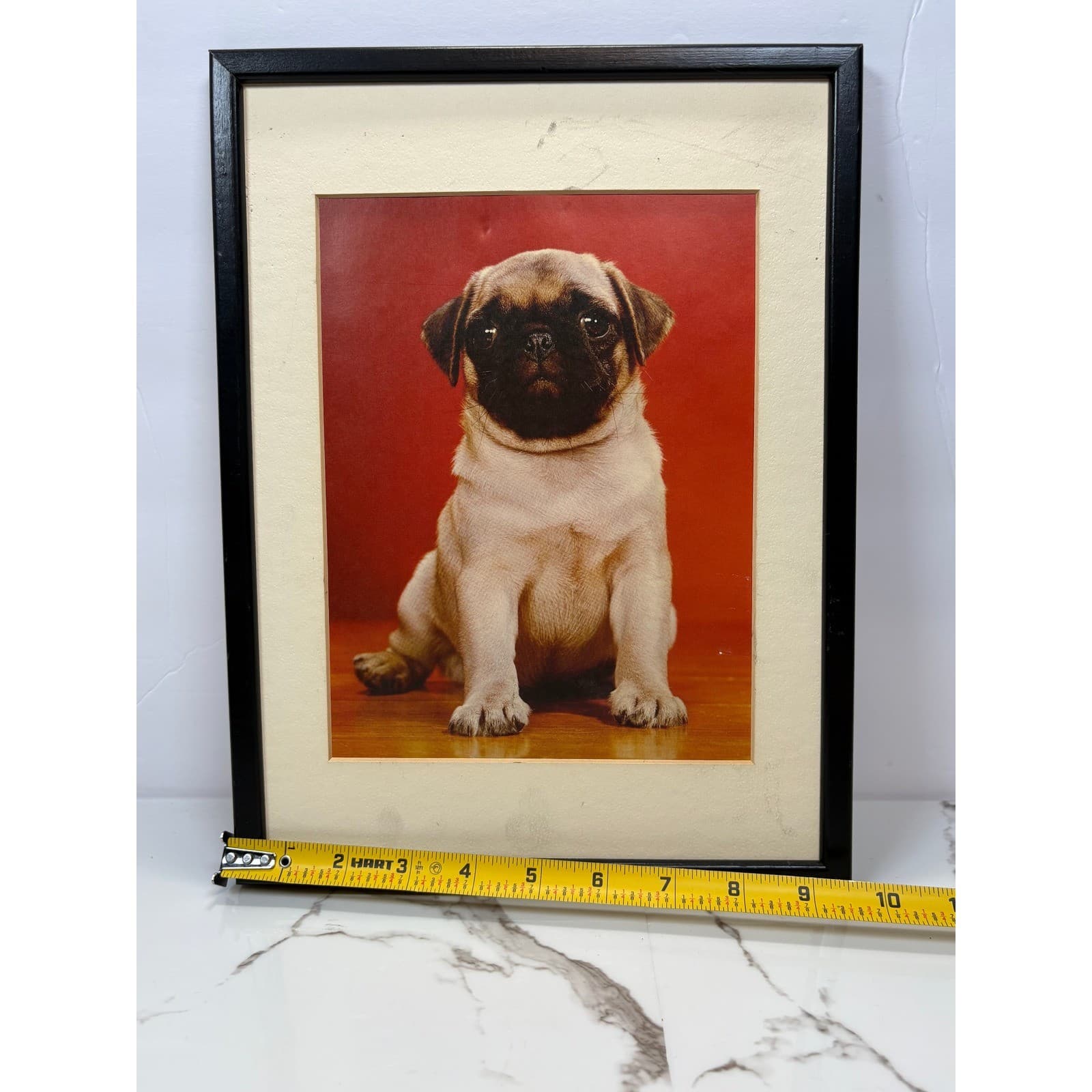 Vintage Framed Pug Puppy Photographic Prints Set of 2 Black Frames Dog Wall Art - Thumbnail 7