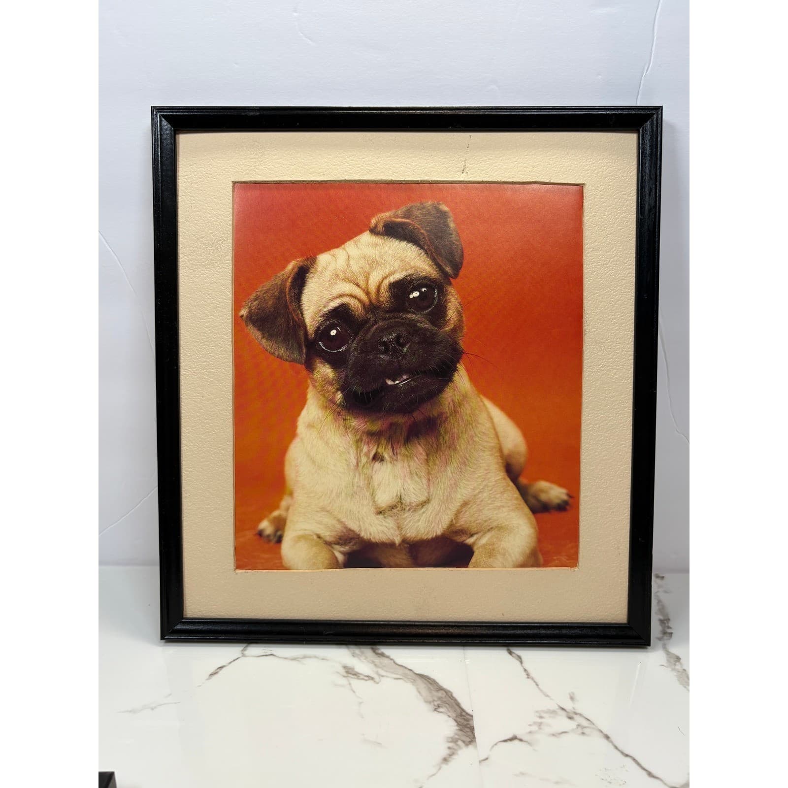 Vintage Framed Pug Puppy Photographic Prints Set of 2 Black Frames Dog Wall Art - Thumbnail 2