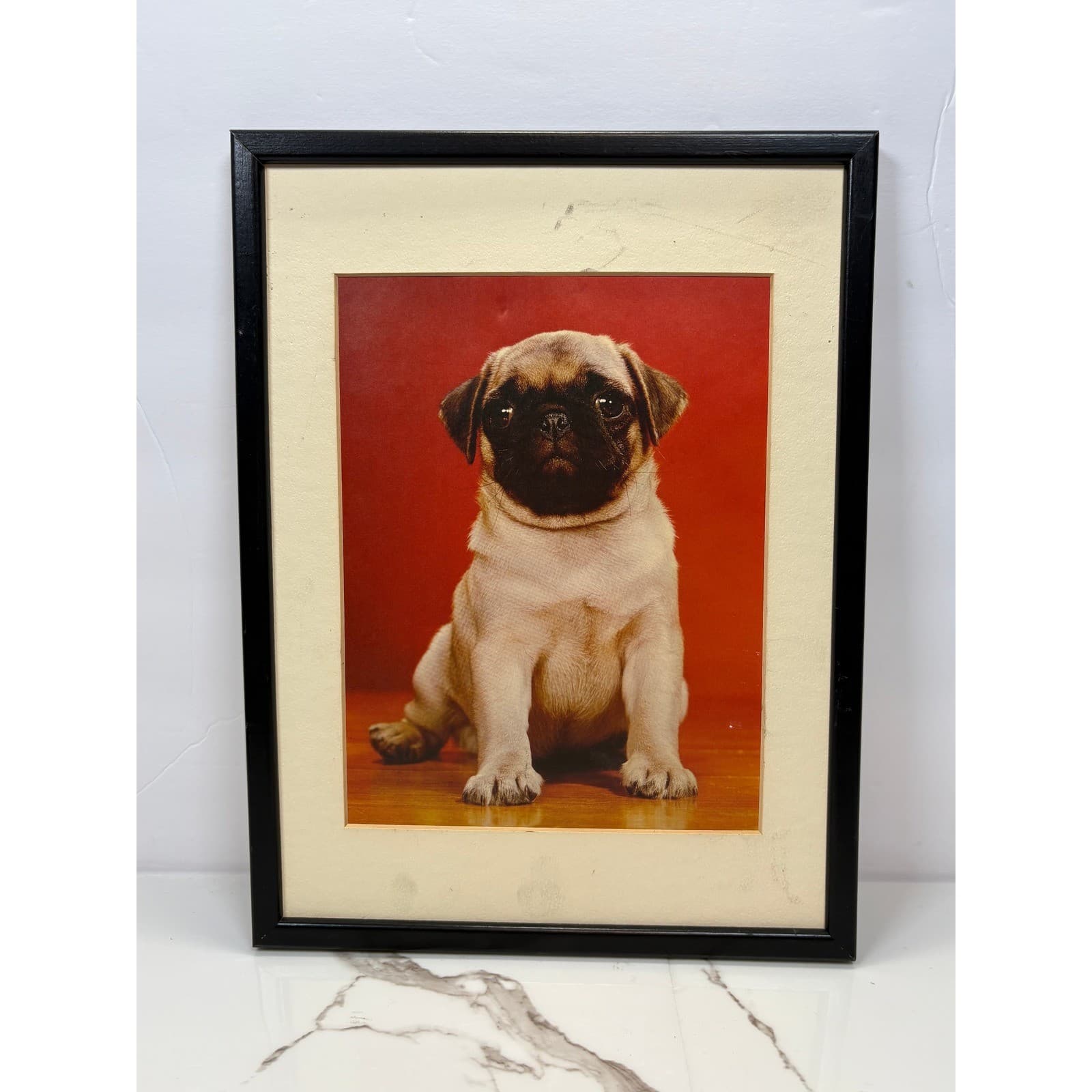 Vintage Framed Pug Puppy Photographic Prints Set of 2 Black Frames Dog Wall Art - Thumbnail 3