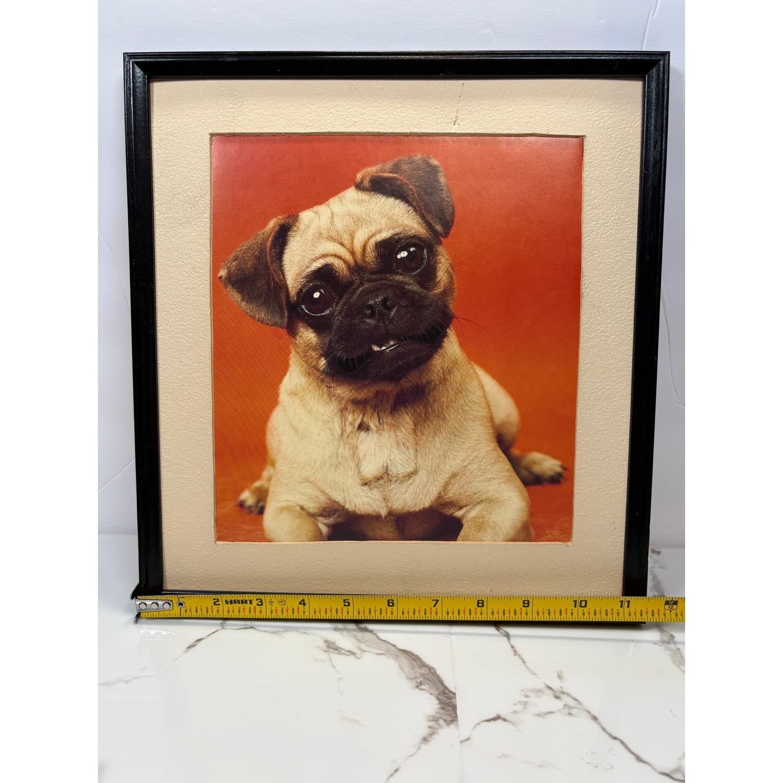 Vintage Framed Pug Puppy Photographic Prints Set of 2 Black Frames Dog Wall Art - Thumbnail 4