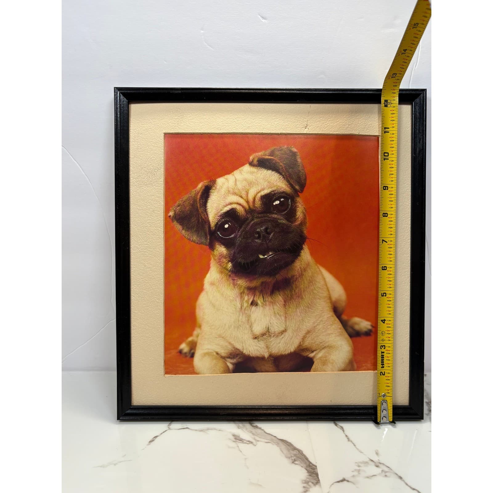 Vintage Framed Pug Puppy Photographic Prints Set of 2 Black Frames Dog Wall Art - Thumbnail 5