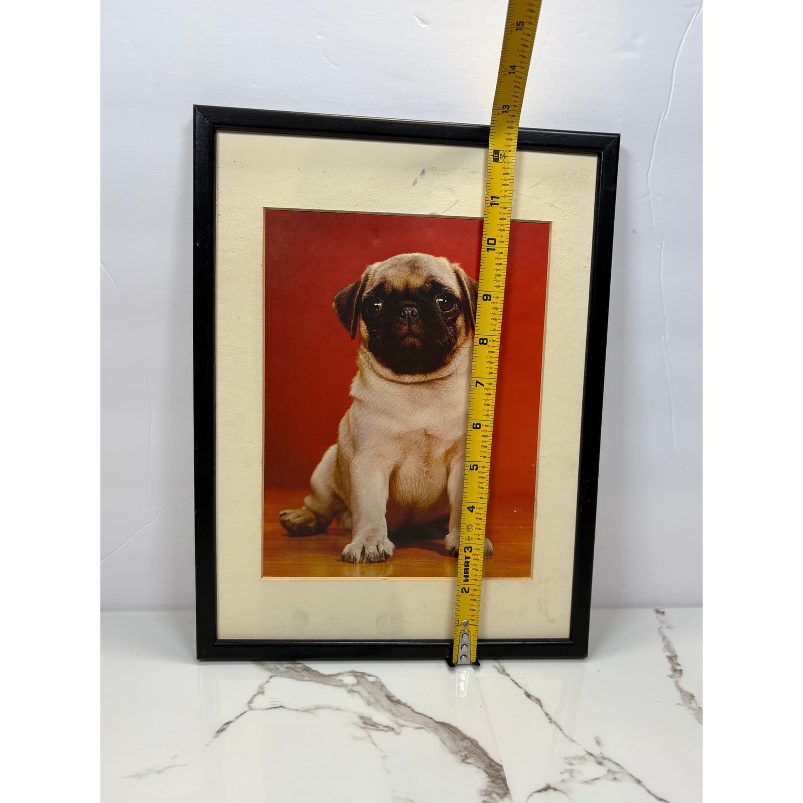 Vintage Framed Pug Puppy Photographic Prints Set of 2 Black Frames Dog Wall Art - Thumbnail 6