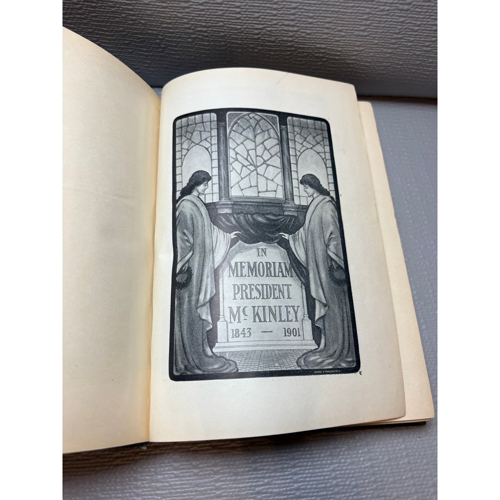 Memorial Life of William McKinley Our Martyred President Col G W Townsend 1901 - Thumbnail 11