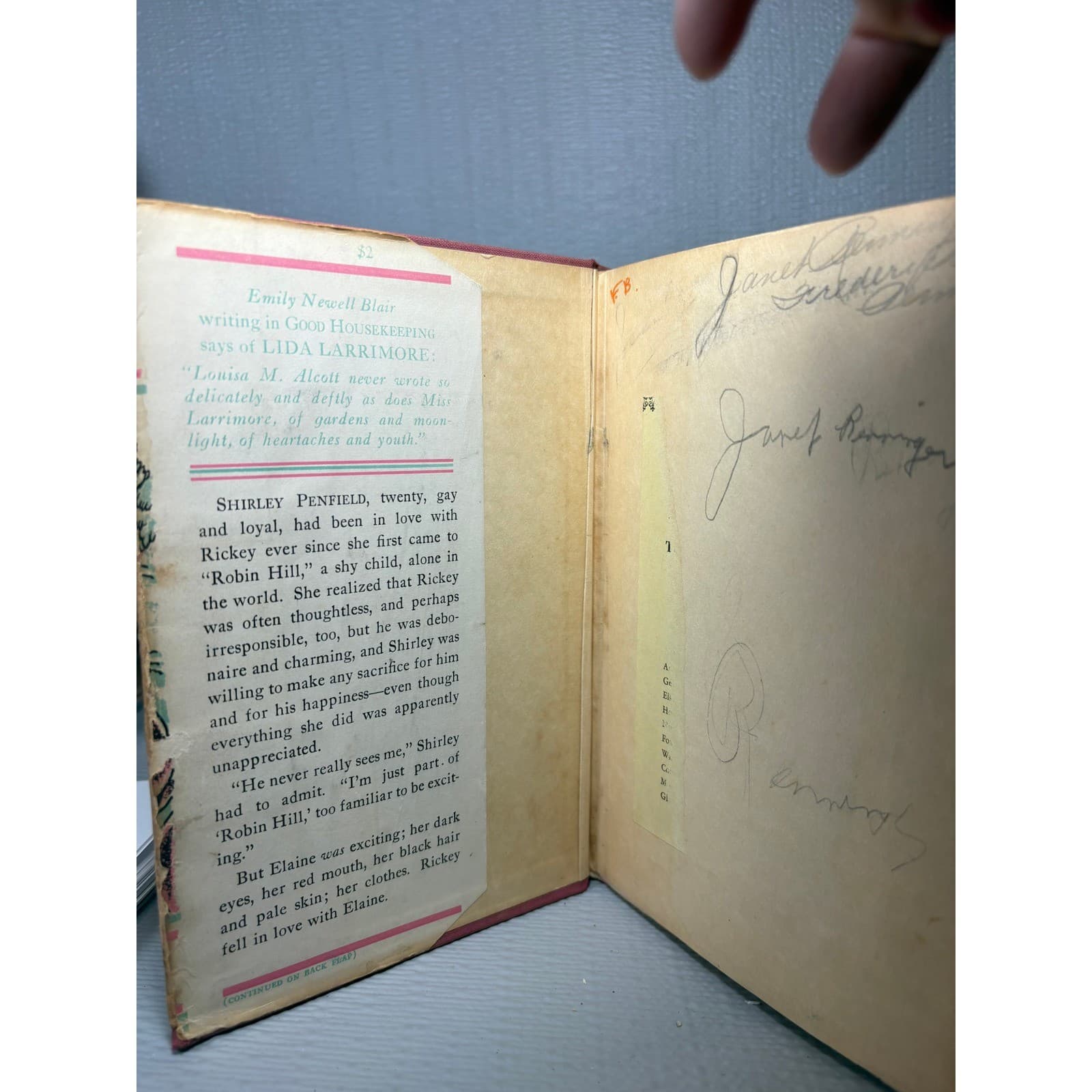 1932 Robin Hill Lida Larrimore First Edition Hardcover Dust Jacket Macrae Smith - Thumbnail 4
