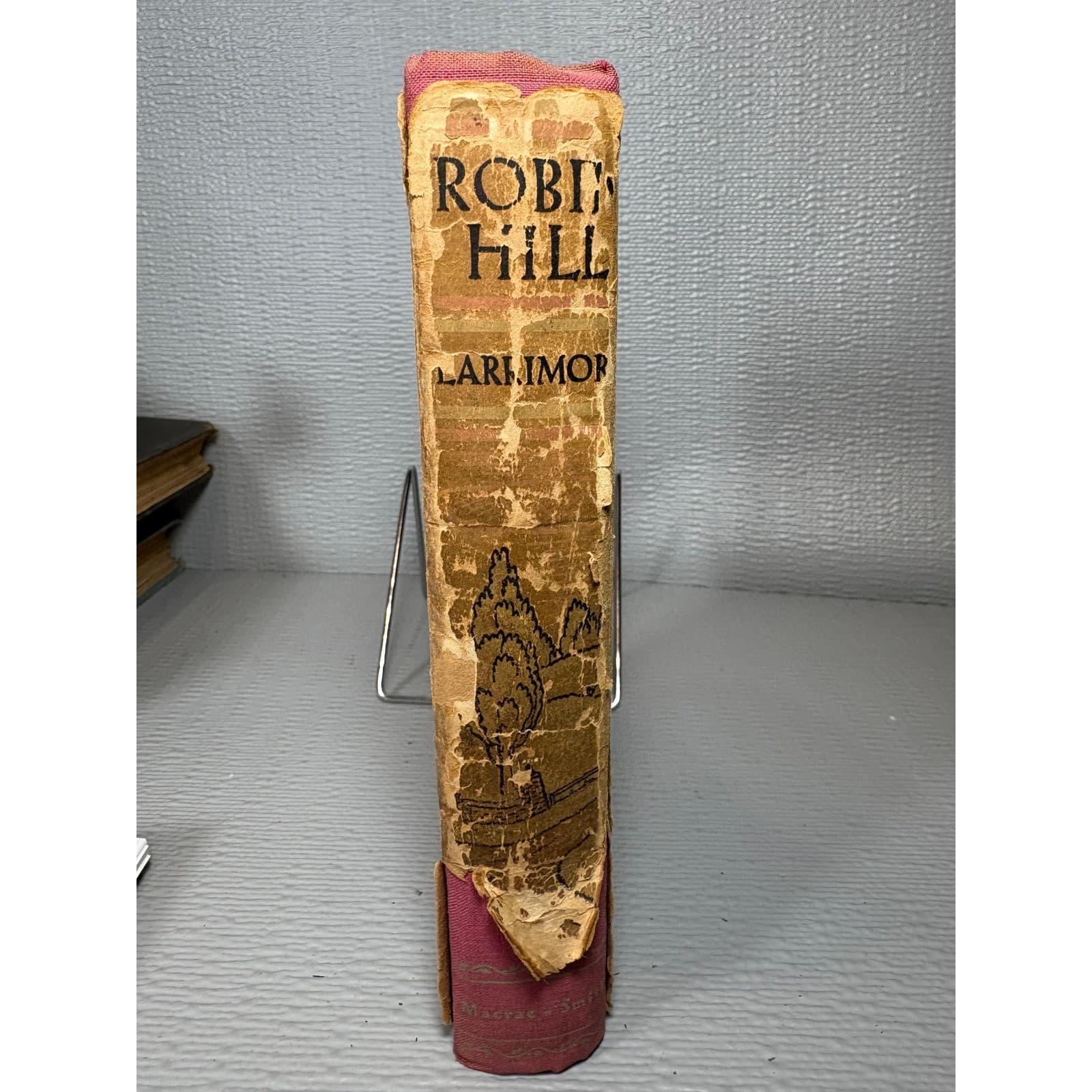 1932 Robin Hill Lida Larrimore First Edition Hardcover Dust Jacket Macrae Smith - Thumbnail 3