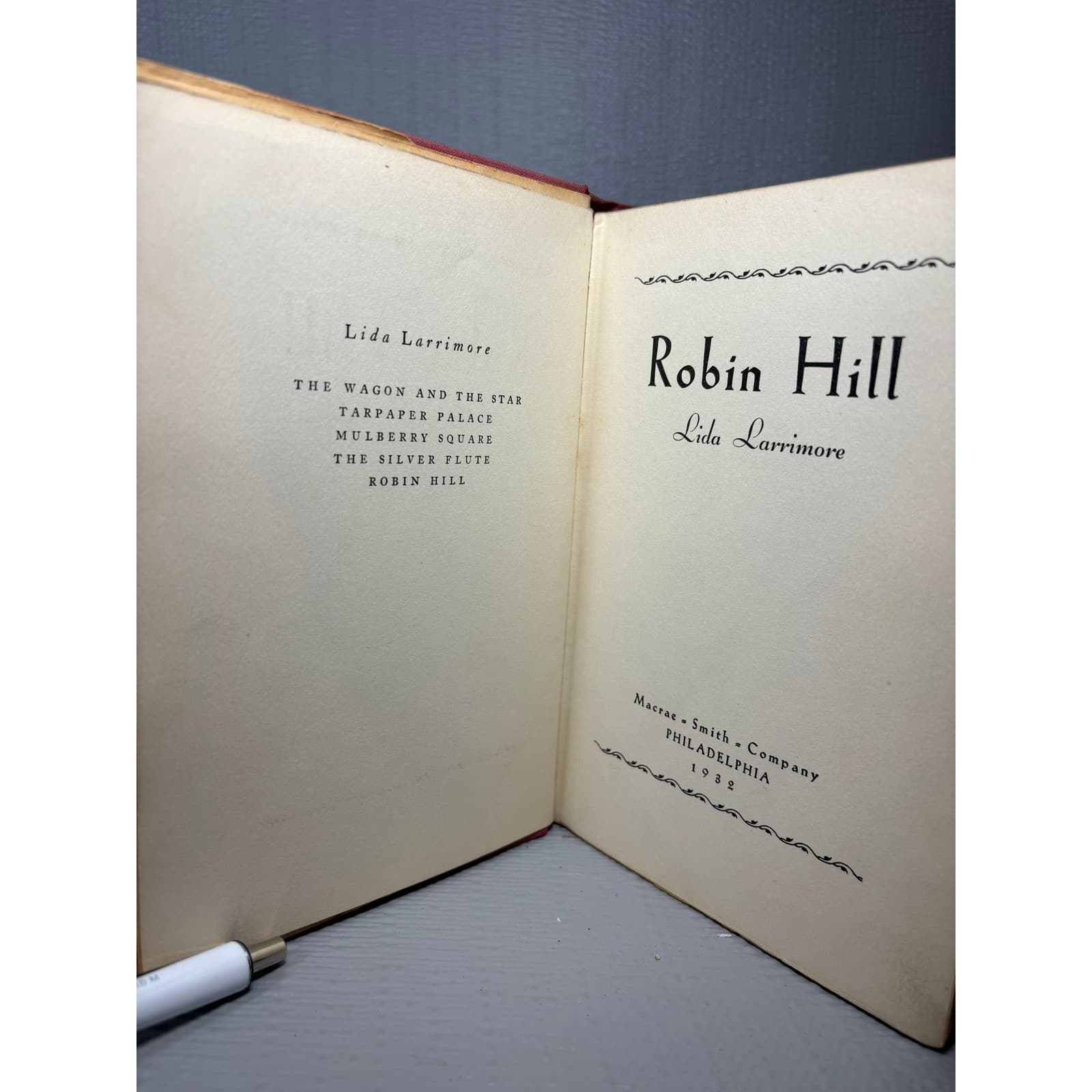 1932 Robin Hill Lida Larrimore First Edition Hardcover Dust Jacket Macrae Smith - Thumbnail 5
