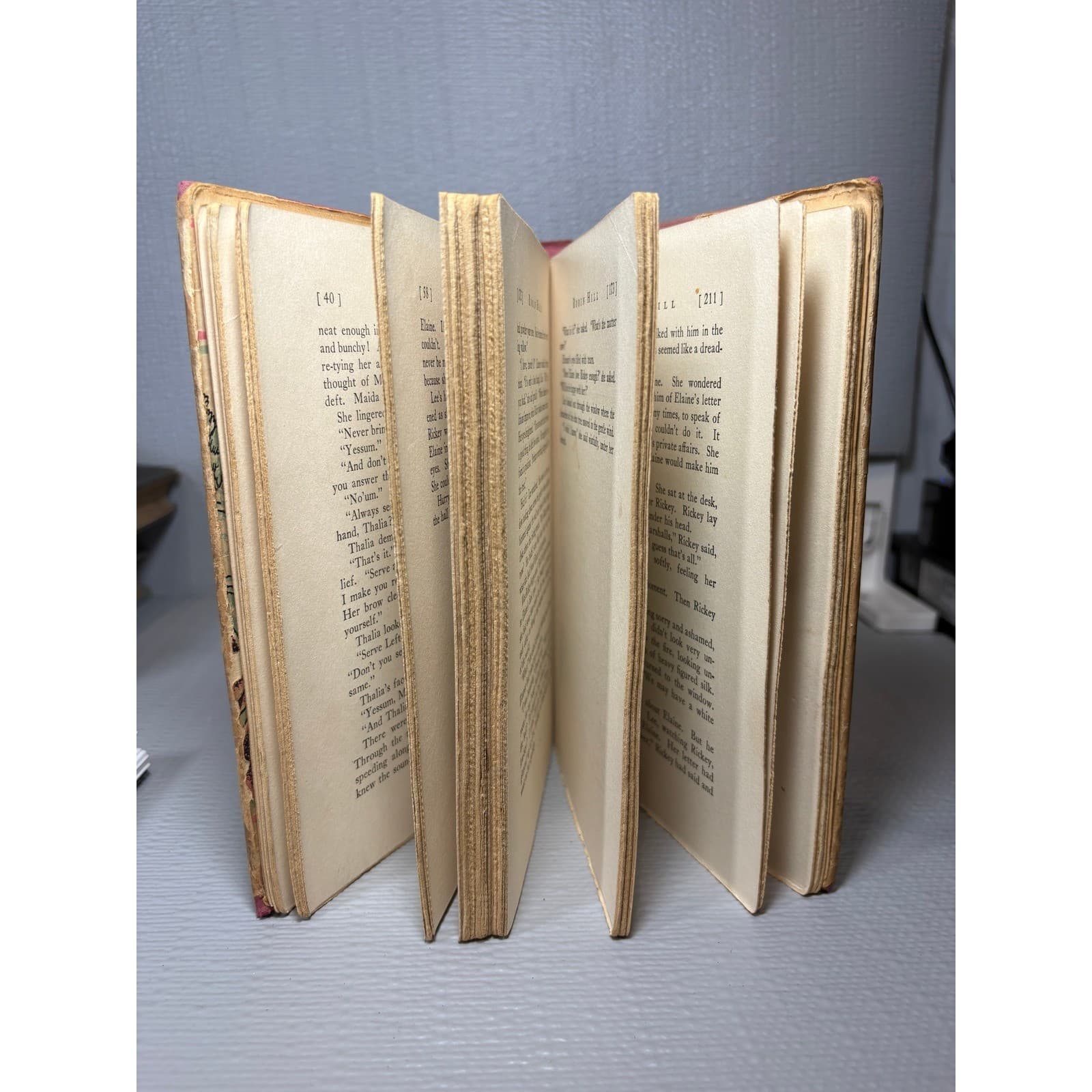 1932 Robin Hill Lida Larrimore First Edition Hardcover Dust Jacket Macrae Smith - Thumbnail 7