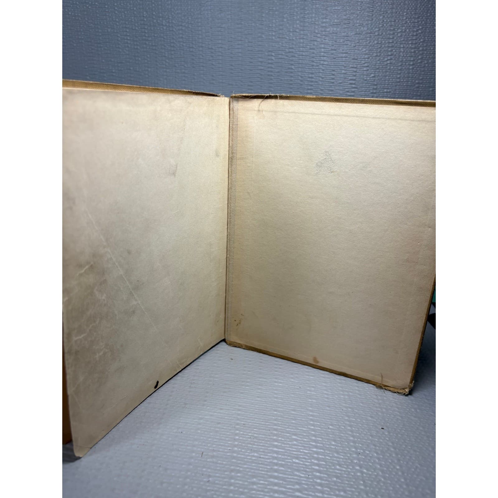 Eugene Field Reader Antique 1905 Charles Scribner's Sons Childrens Illustrated - Thumbnail 5