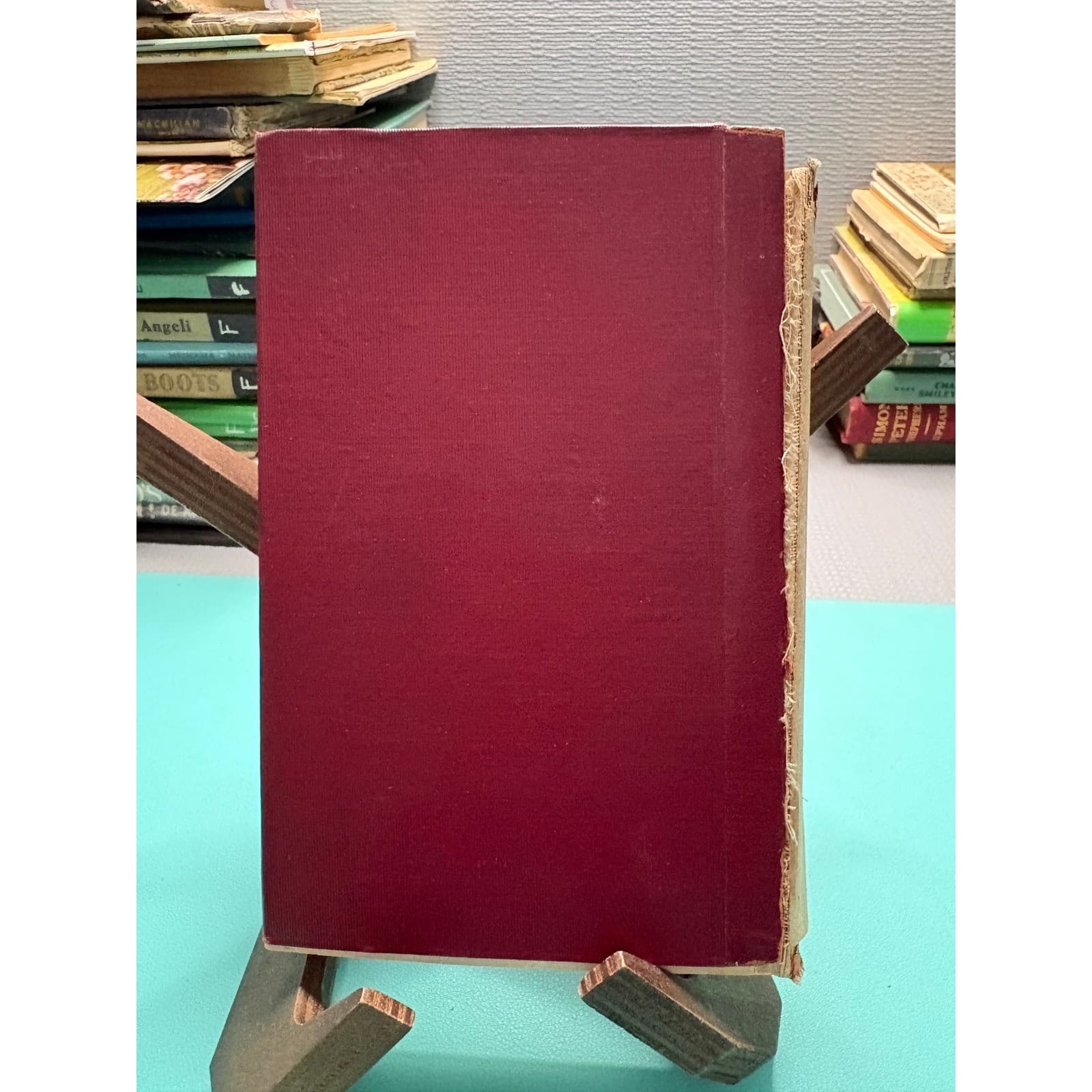 1911 Principles of Anthropology Sociology Criminal Procedure Maurice Parmelee - Thumbnail 3