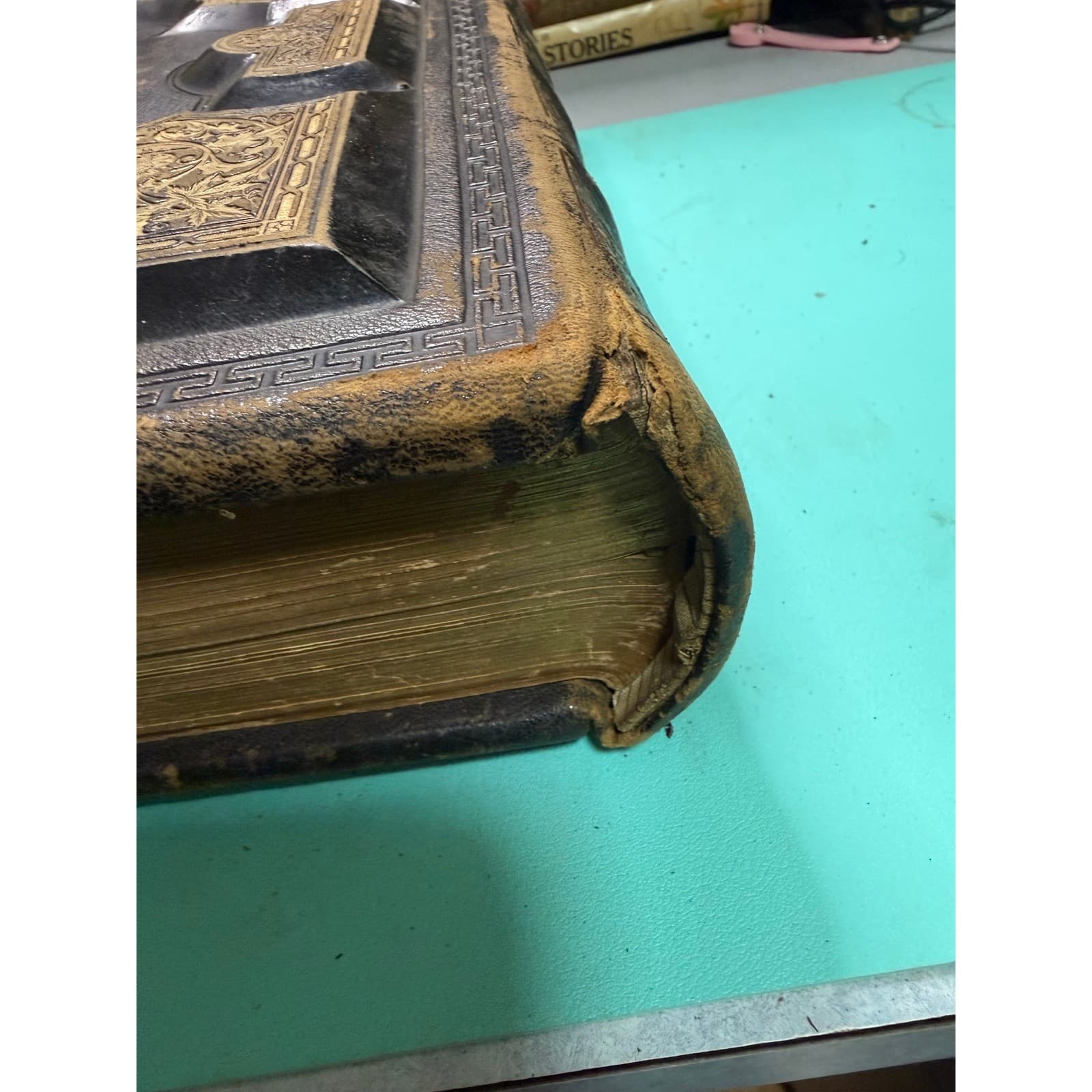 Antique 1873 Holy Bible National Publishing Co Leather Gilt Embossed - Thumbnail 5