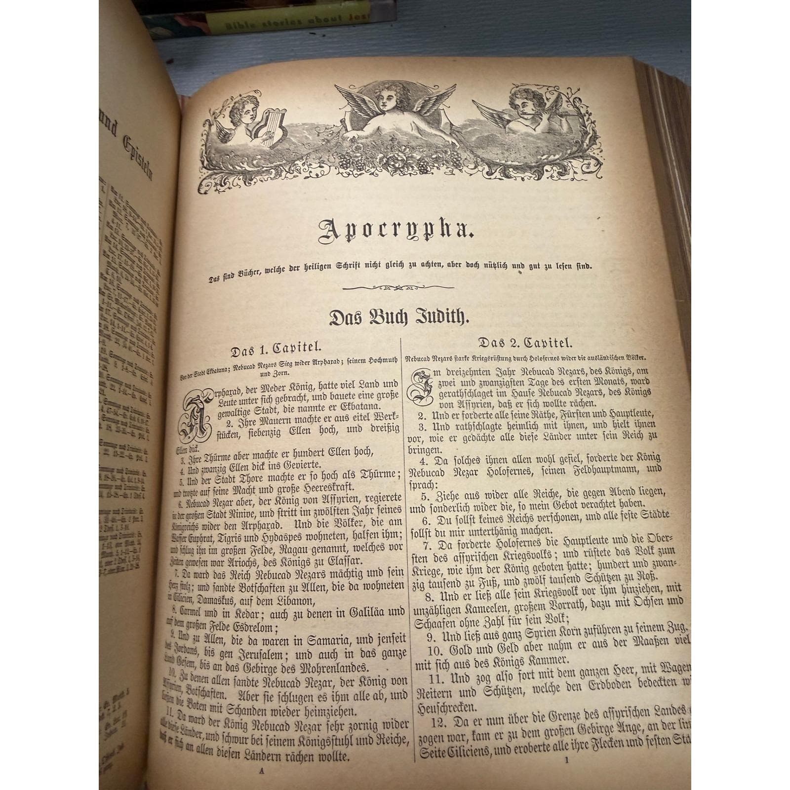 1892 German Family Bible A.J. Holman Die Neue Illustrirte Familien Bibel Antique - Thumbnail 12