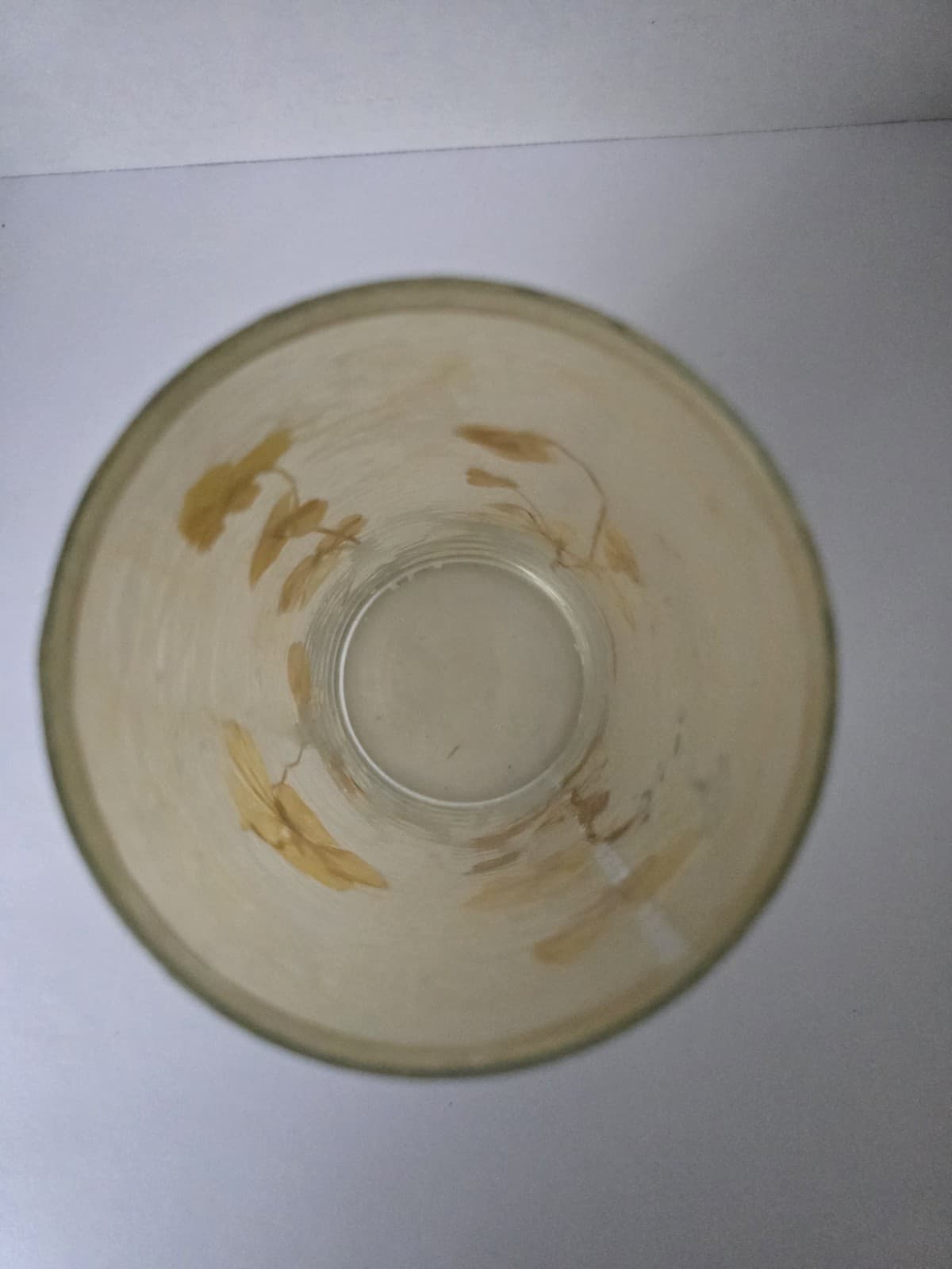 Vintage Terrain-Style Pressed Floral Stems Glass Candle Holder/Hurricane Vasea - Thumbnail 5