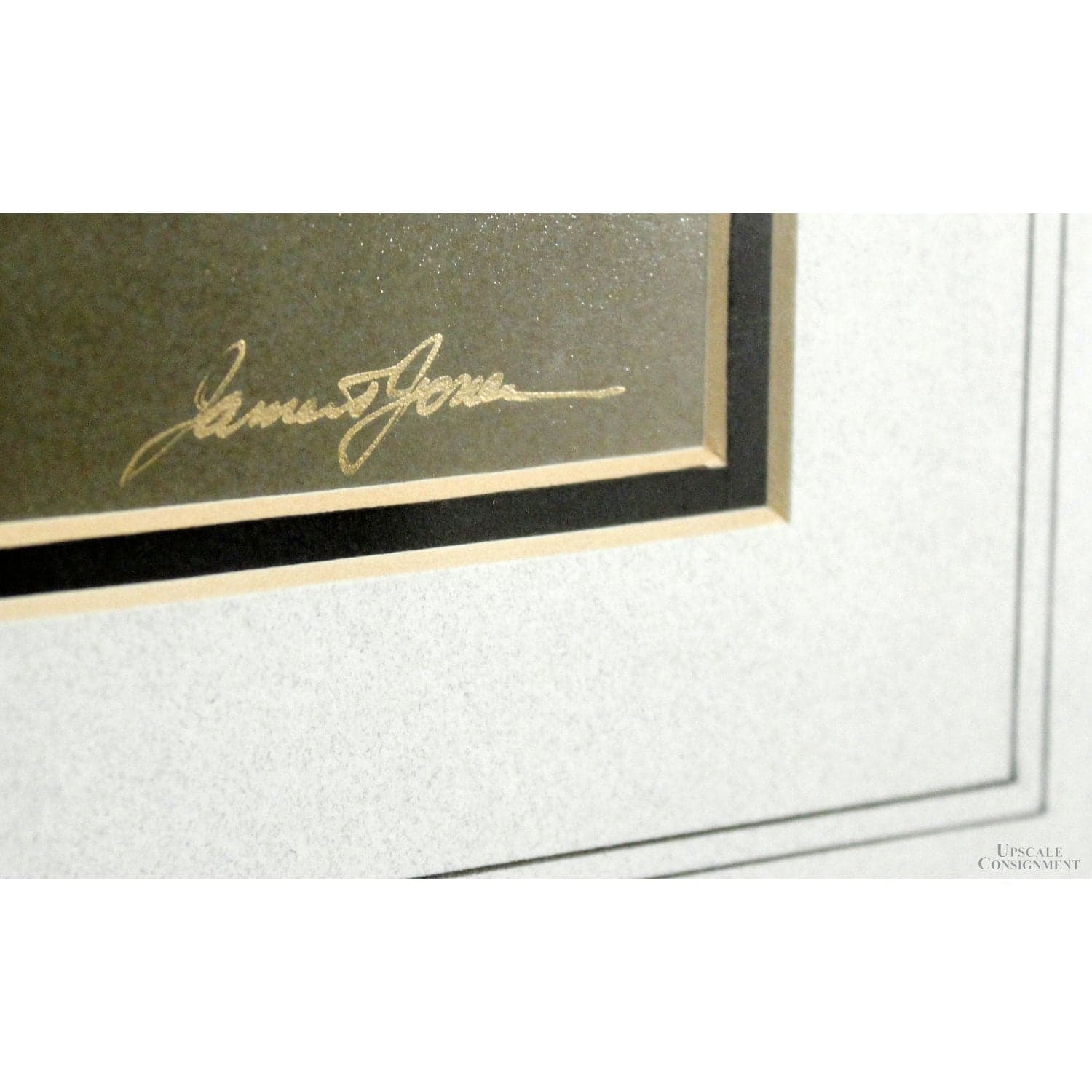 Framed Photographic Artwork - Loon on a Lake By James T. Jones - Thumbnail 3