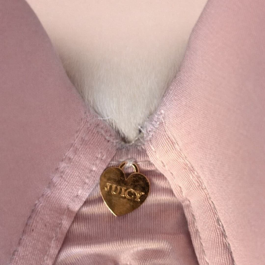 Juicy Couture Intimates Light Pink Bra – Size 40C - Thumbnail 4