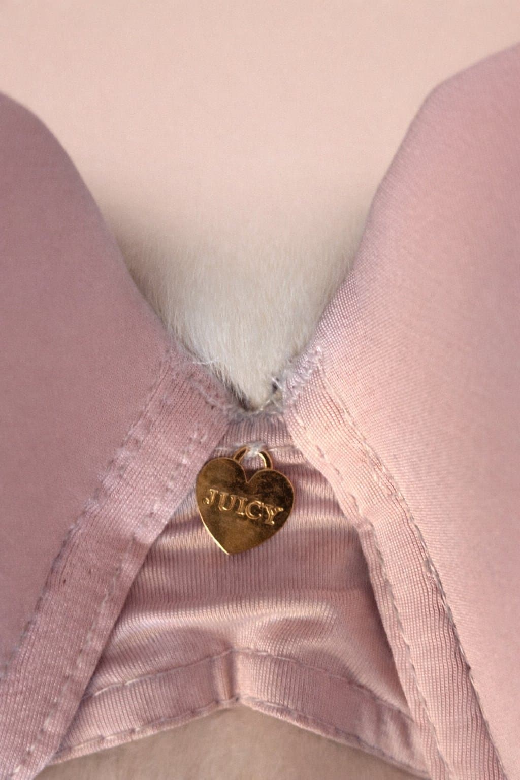 Juicy Couture Intimates Light Pink Bra – Size 40C - Thumbnail 4