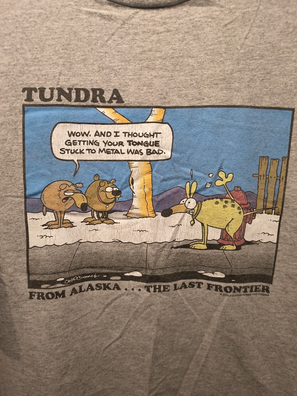 Tundra Novelty Shirt Sz XL Alaska The Last Frontier Comedy Graphic Tshirt Vtg - Thumbnail 2