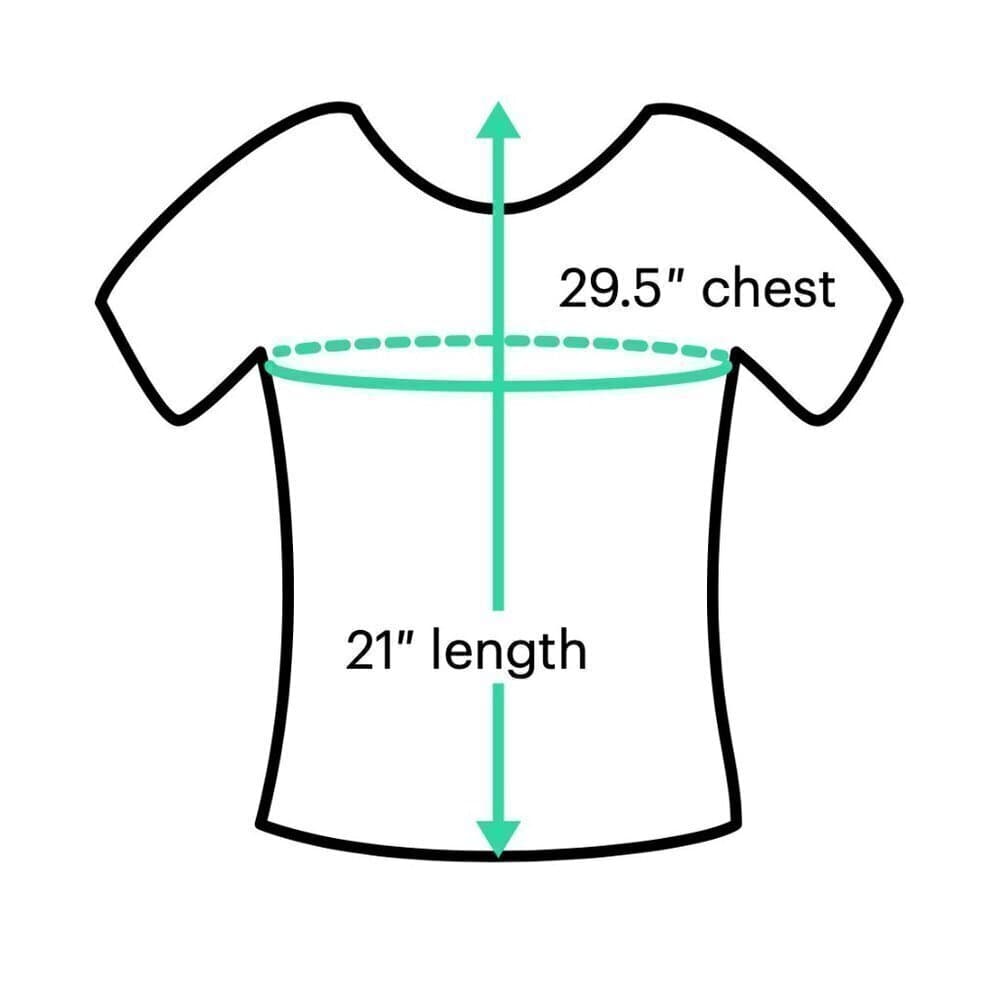Lauren Ralph Lauren Long Sleeve Off ShoulderTop Size L Petite - Thumbnail 3