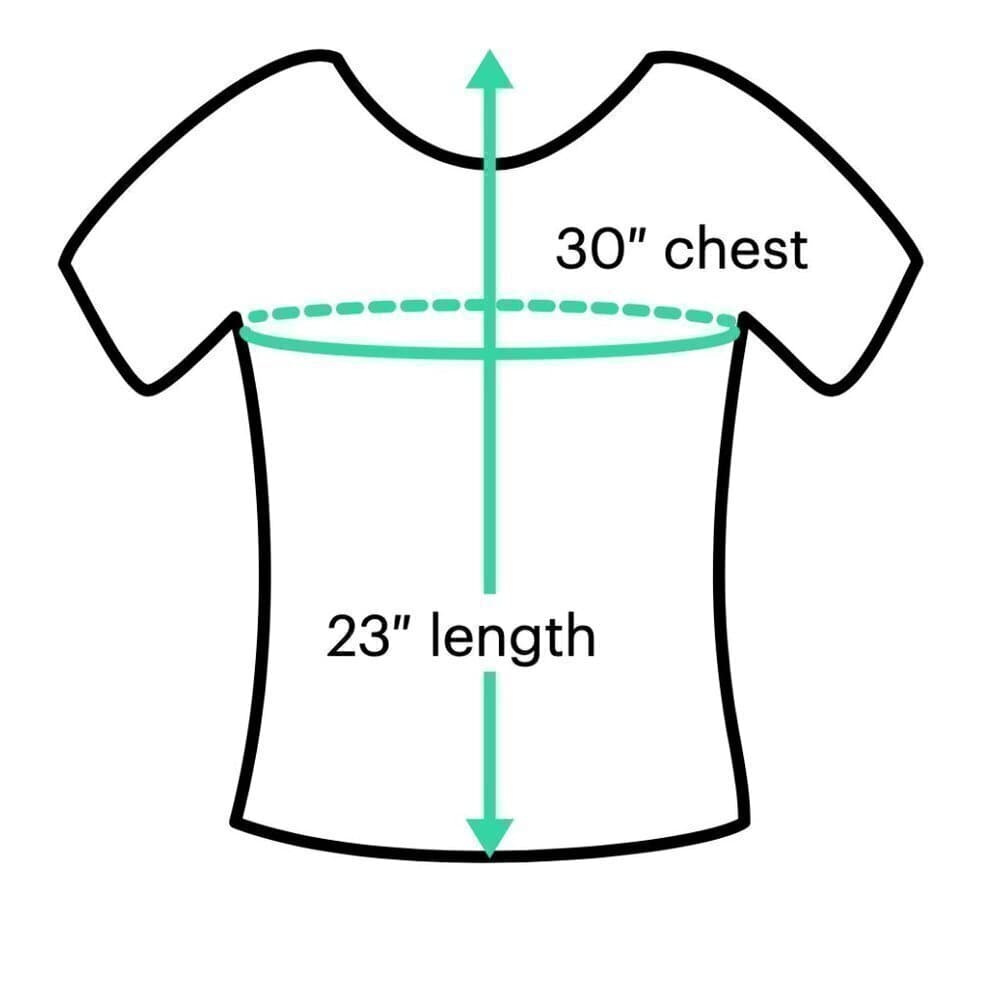 SPLENDID Exclusively For Barneys New York CO-OP Long Sleeve T-Shirt Size XS - Thumbnail 3