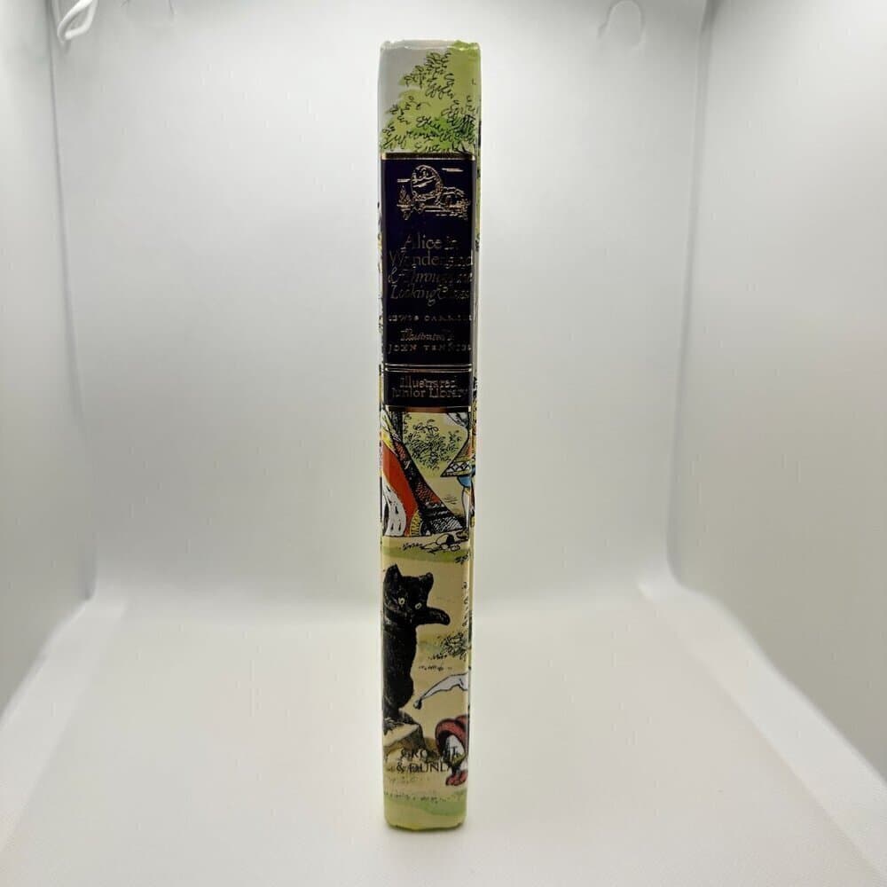 Alice in Wonderland & Through the Looking Glass, Illustrated Junior Library - Thumbnail 2