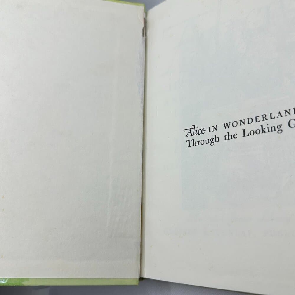 Alice in Wonderland & Through the Looking Glass, Illustrated Junior Library - Thumbnail 6