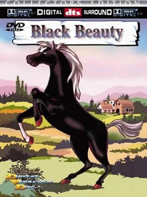 Black Beauty DVD by Digiview Entertainment - Thumbnail 9