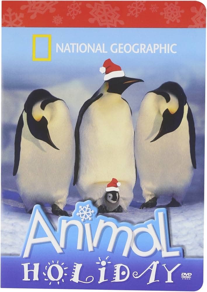National Geographic Kids: Animal Holiday unopened - Thumbnail 2