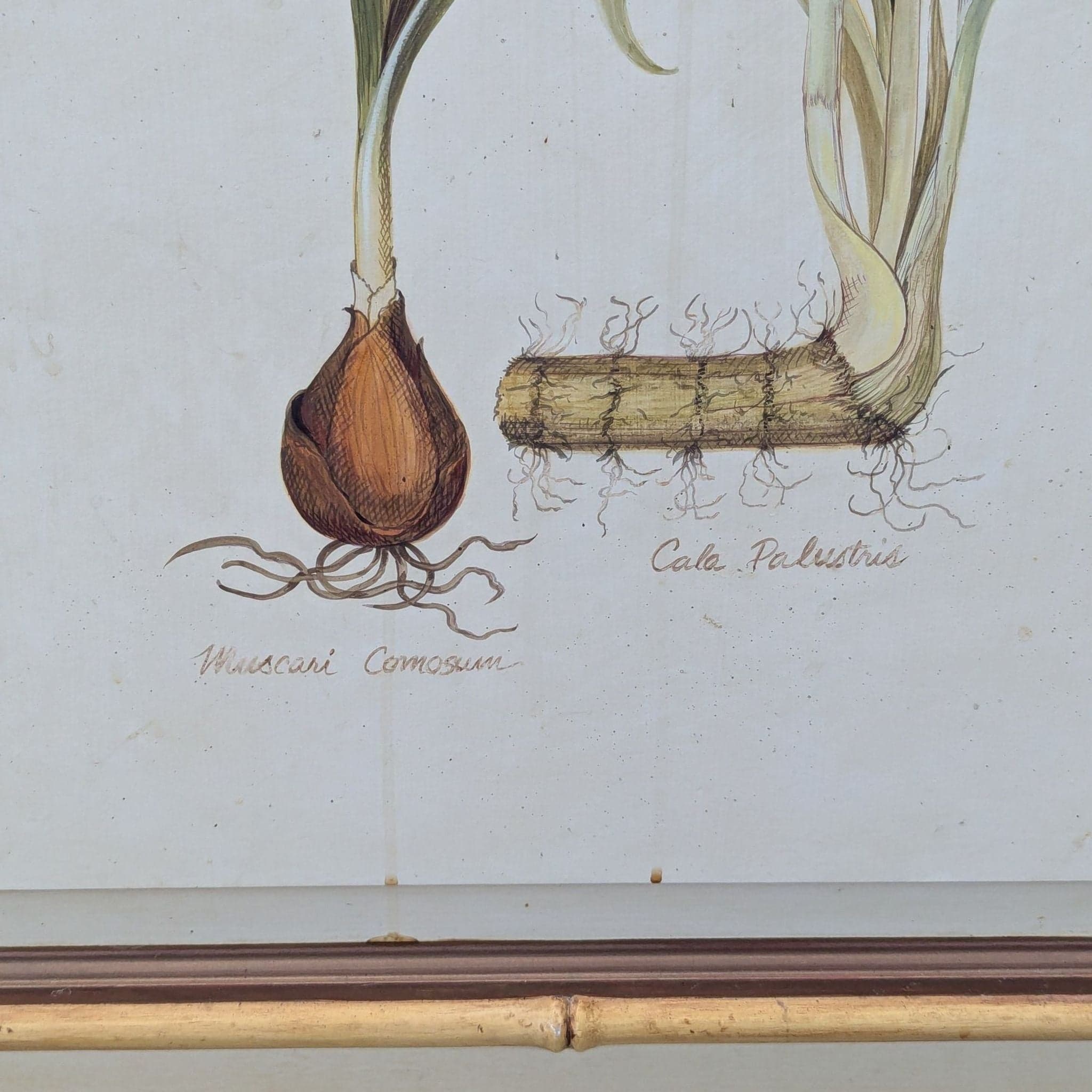 Botanical Hand Painted Media Cabinet - Thumbnail 8
