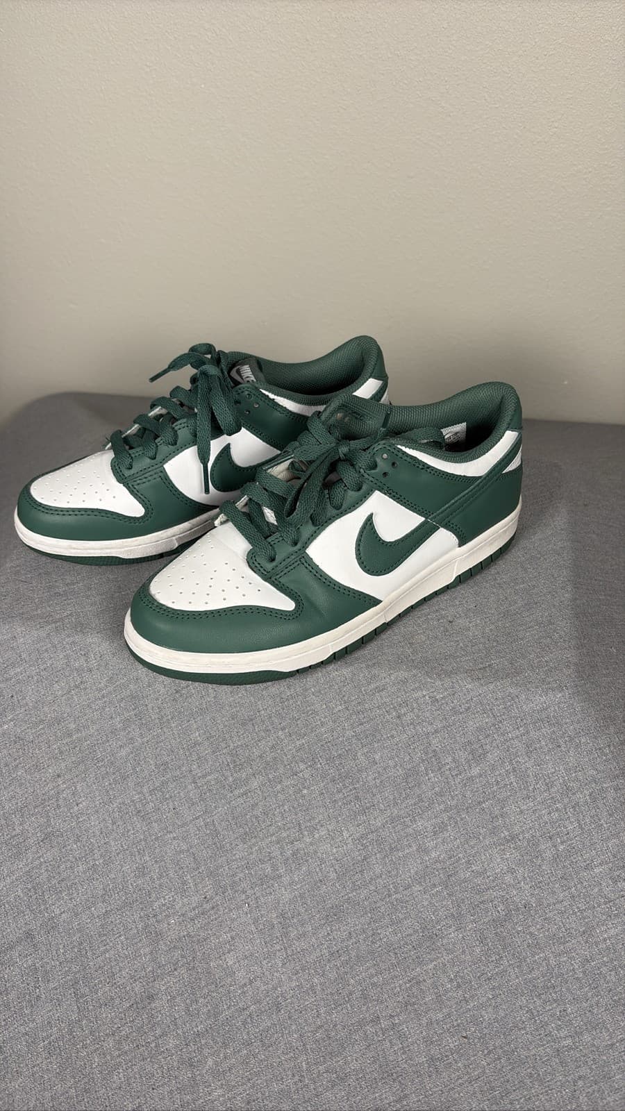 Nike Dunk Low Retro Michigan State Team Green White DD1391-101 Youth 7 Sneaker