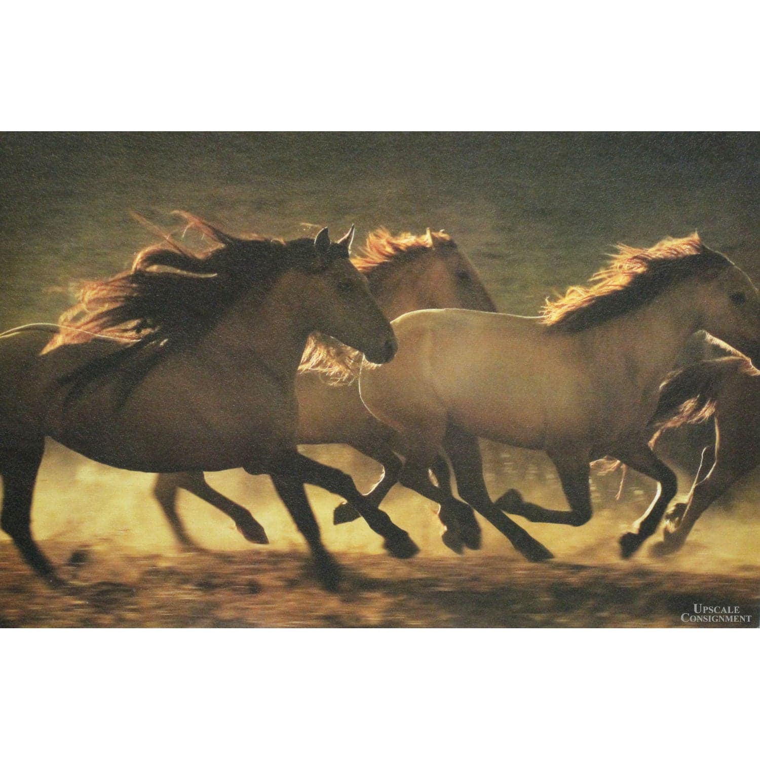Framed Print on Board - Galloping Horses - Thumbnail 2