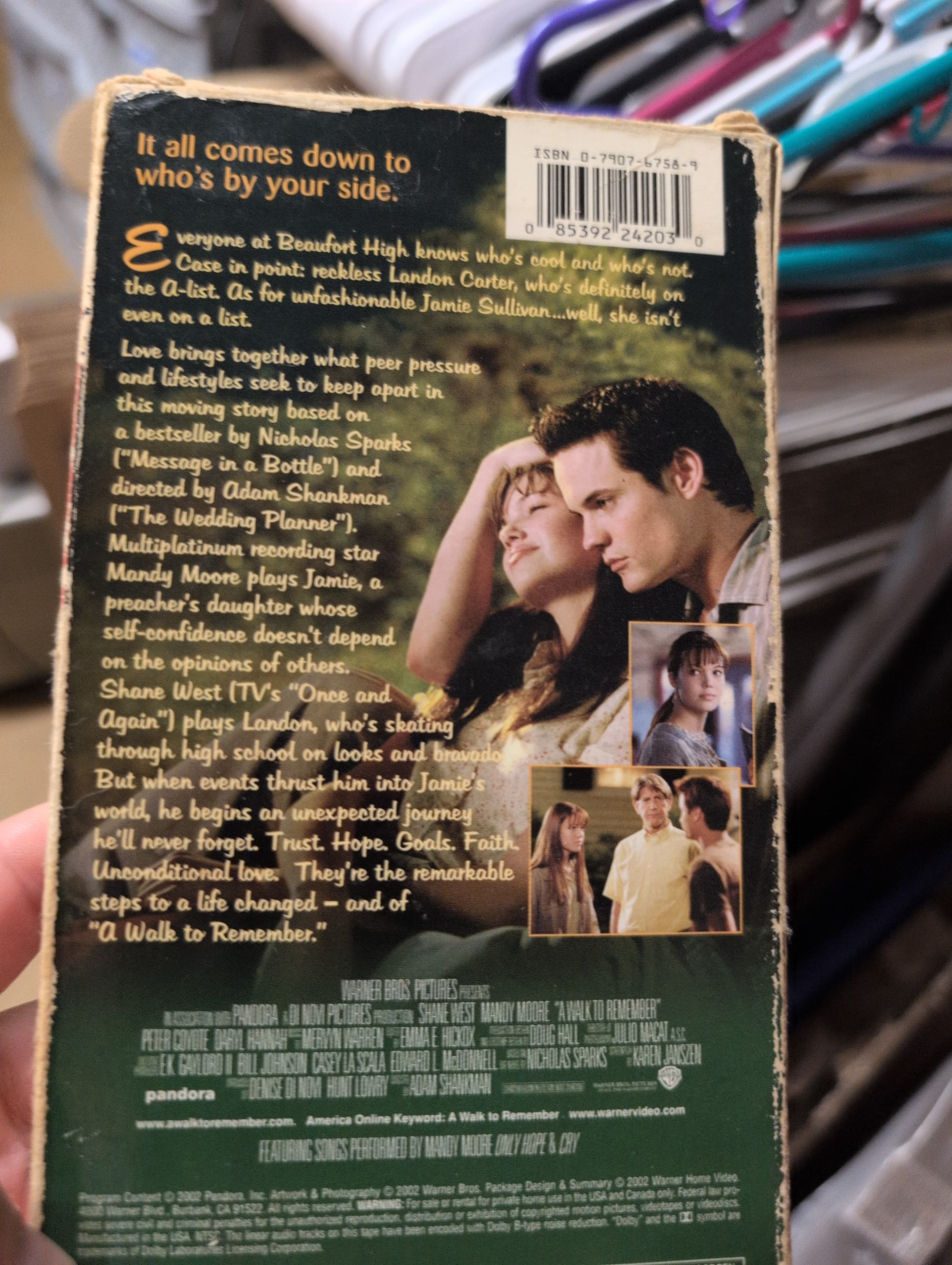 Walk to Remember Adam Shankman Director - Thumbnail 7